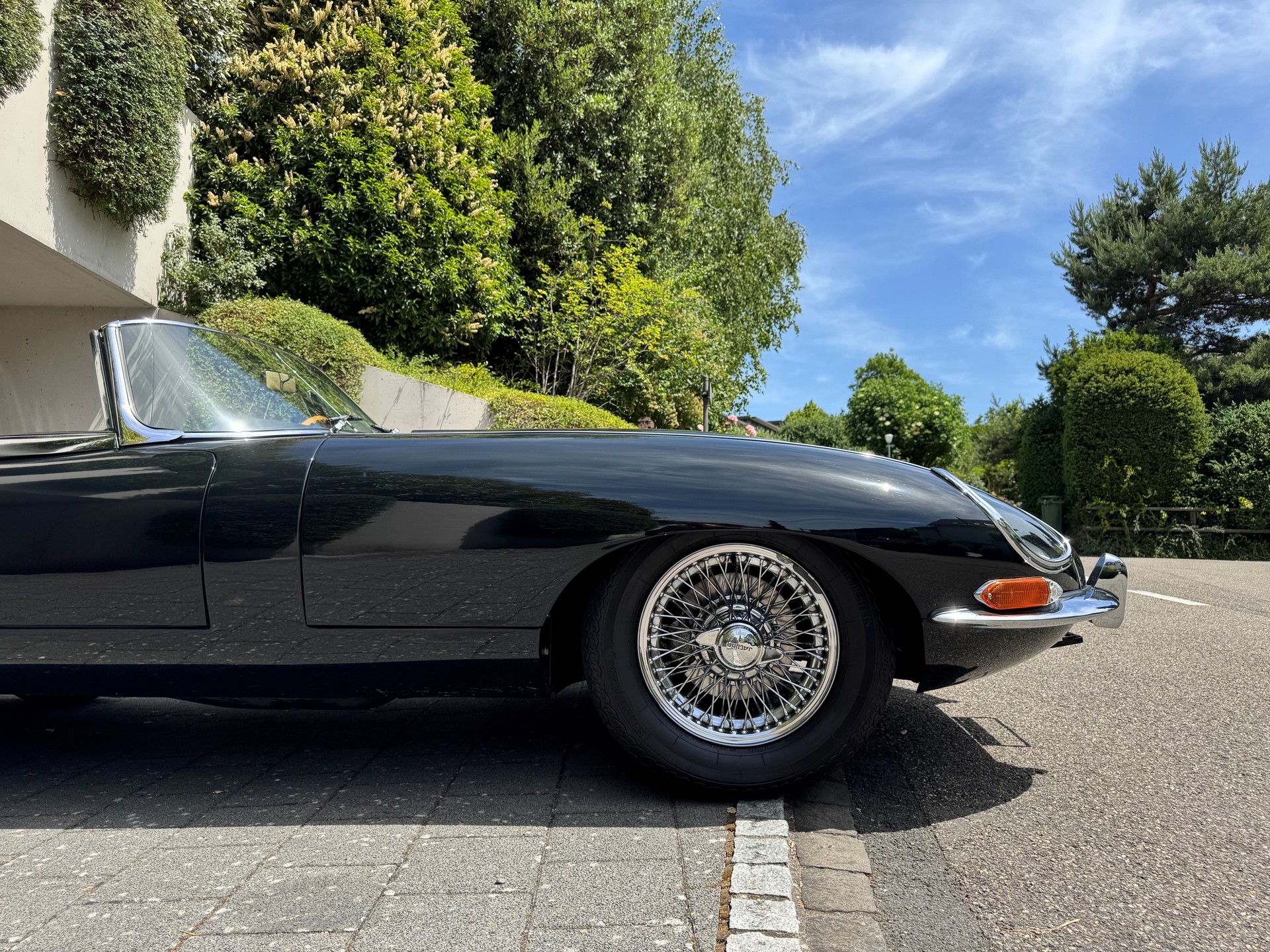 JAGUAR Serie 1-image-10