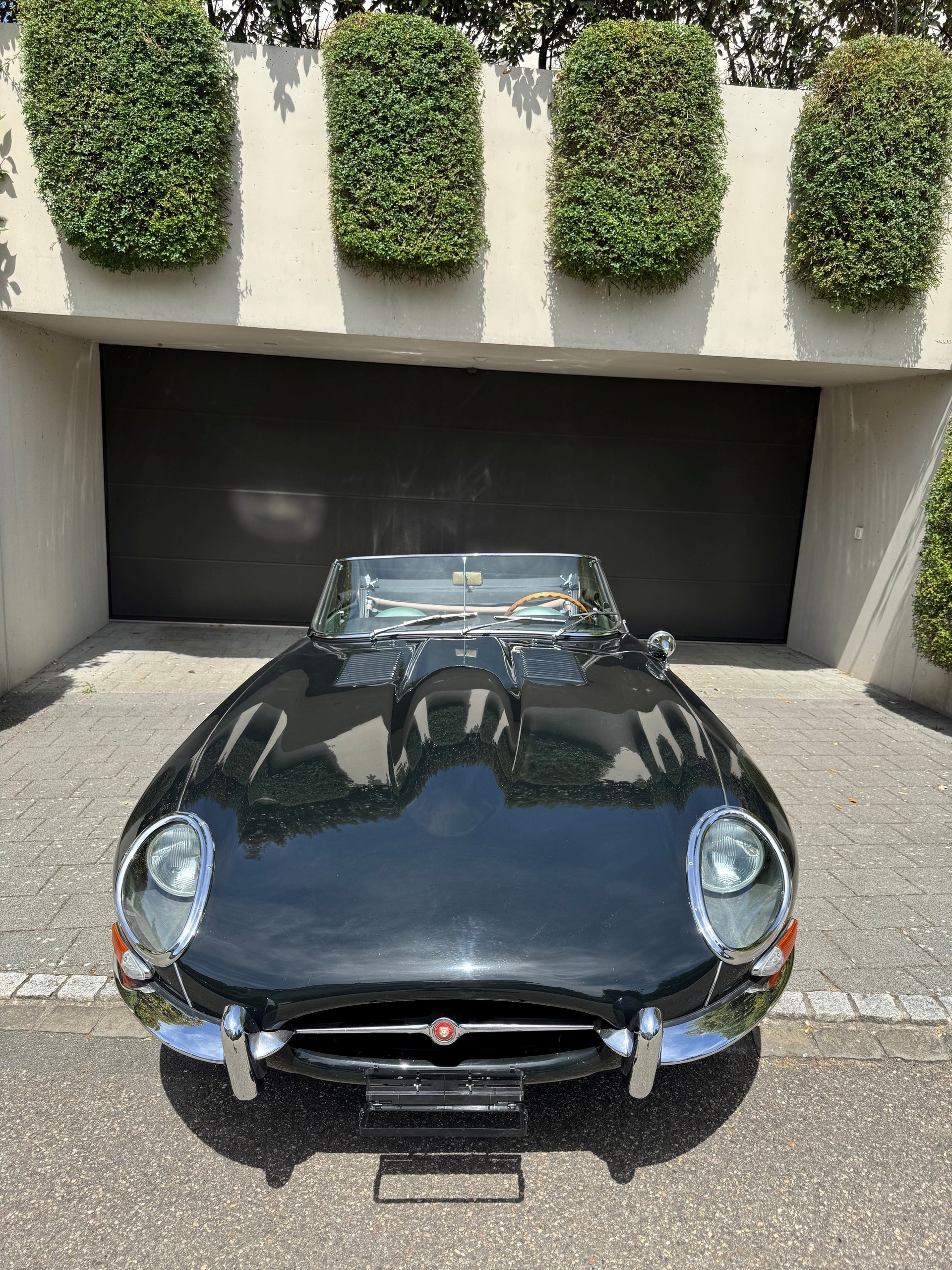 JAGUAR Serie 1