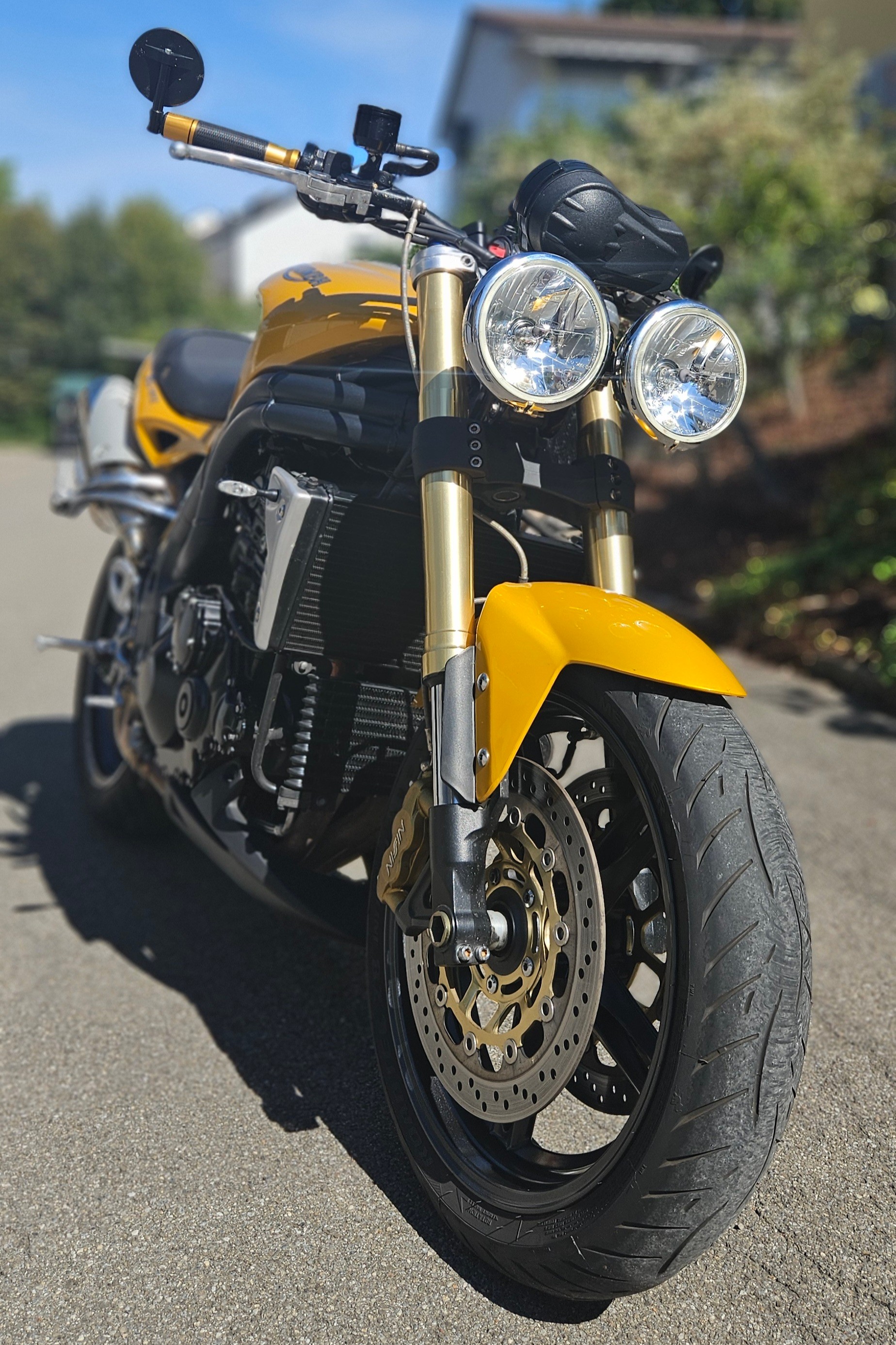 TRIUMPH Speed Triple 1050-image-6
