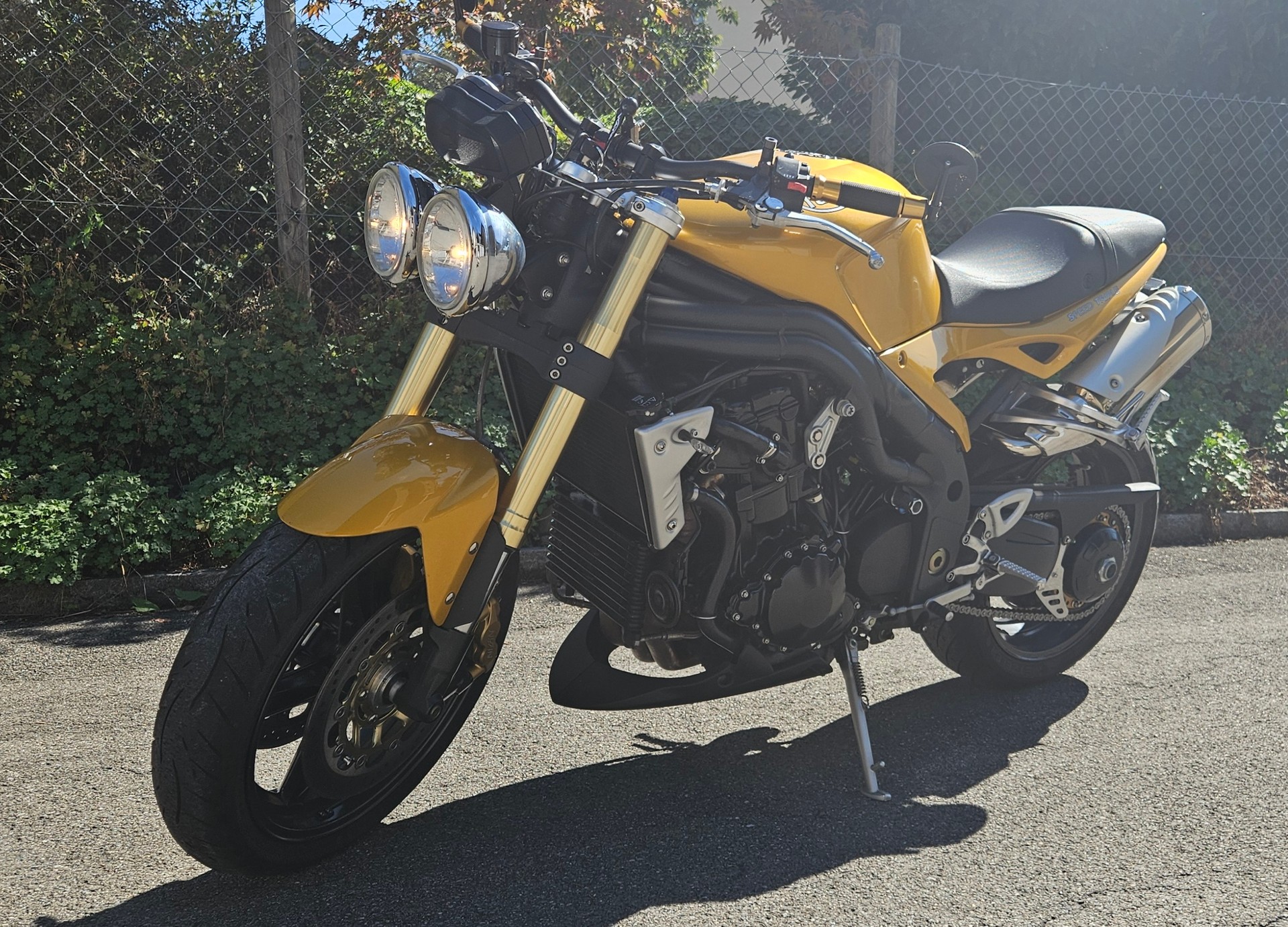 TRIUMPH Speed Triple 1050-image-3