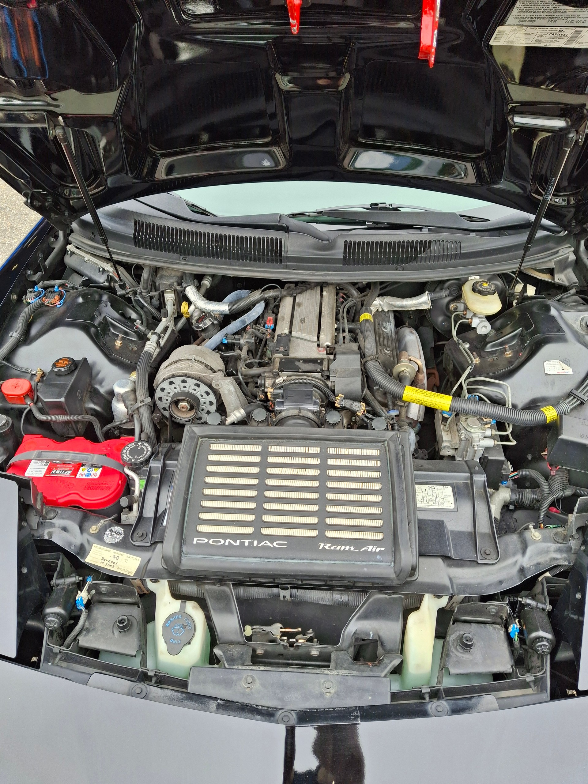 PONTIAC Firebird 5.7 V8 Trans Am-image-5