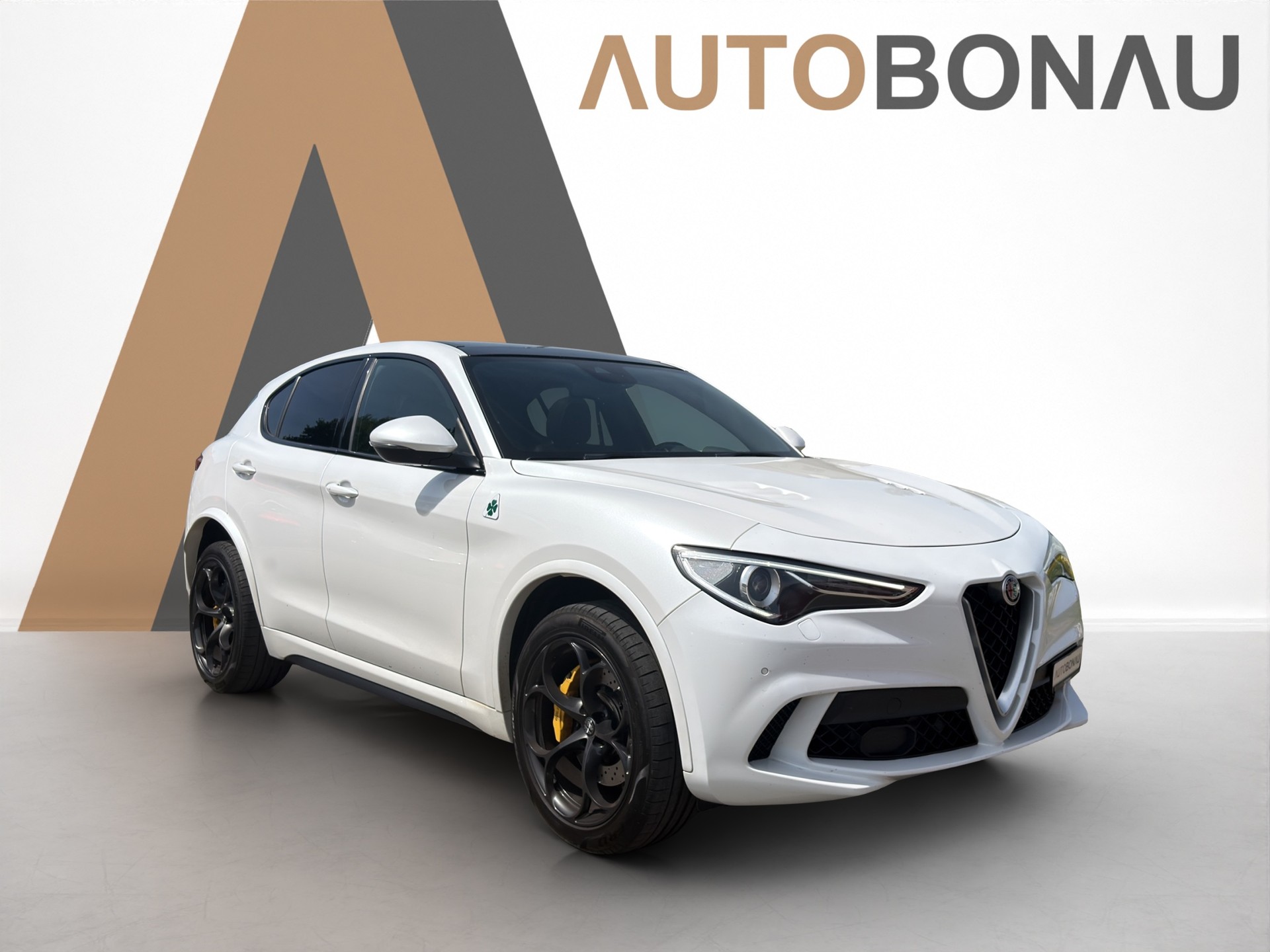 ALFA ROMEO Stelvio 2.9 V6 Biturbo Q4 Quadrifoglio Schiebedach-image-5
