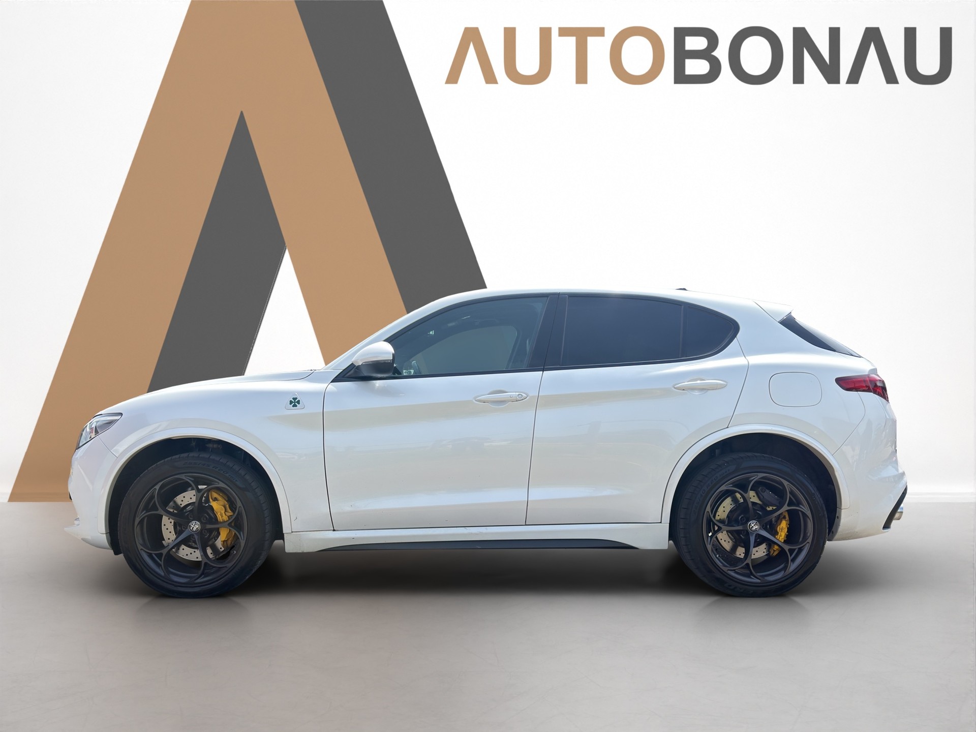 ALFA ROMEO Stelvio 2.9 V6 Biturbo Q4 Quadrifoglio Schiebedach-showroom-element-1