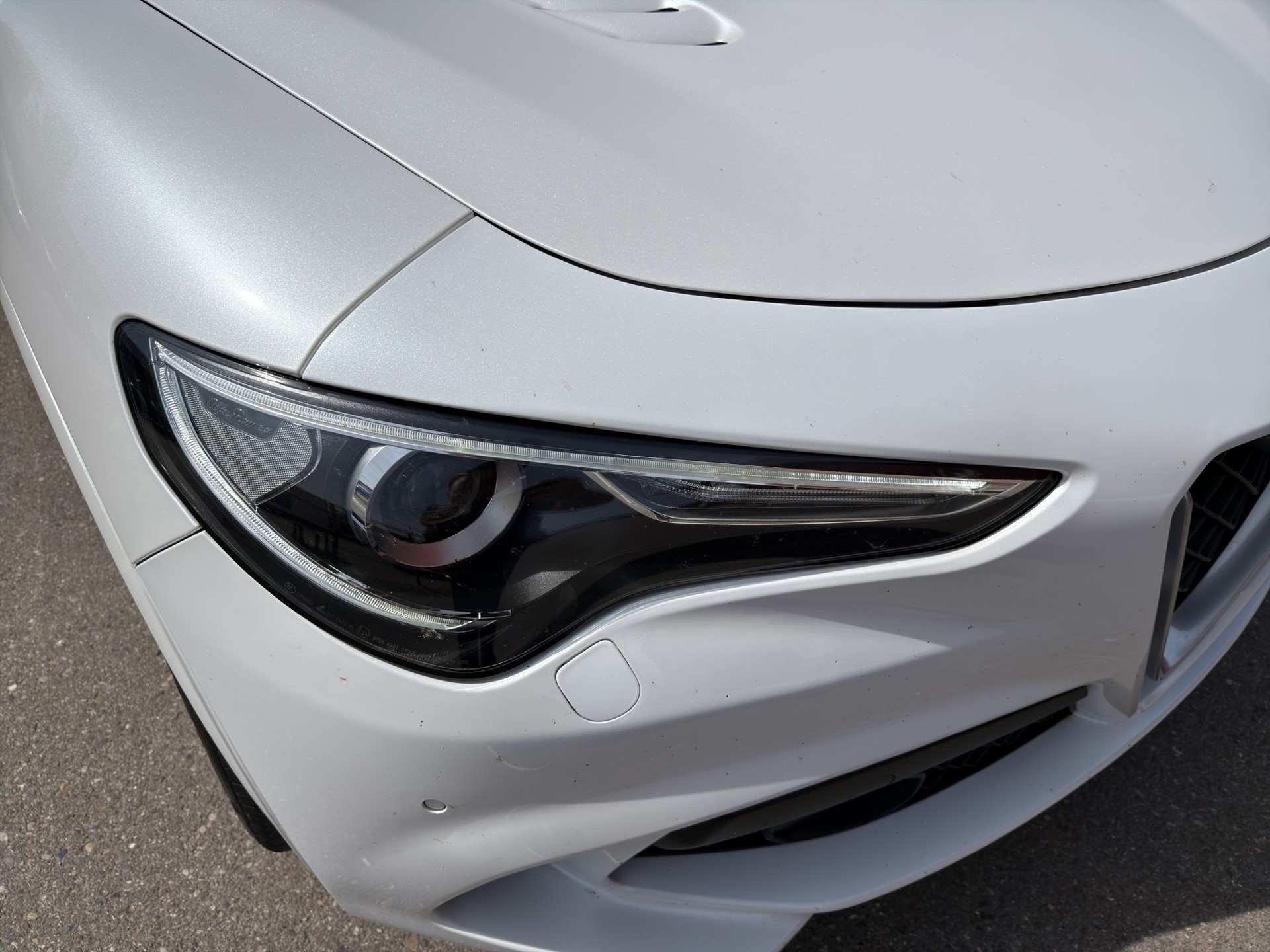 ALFA ROMEO Stelvio 2.9 V6 Biturbo Q4 Quadrifoglio Schiebedach-image-34