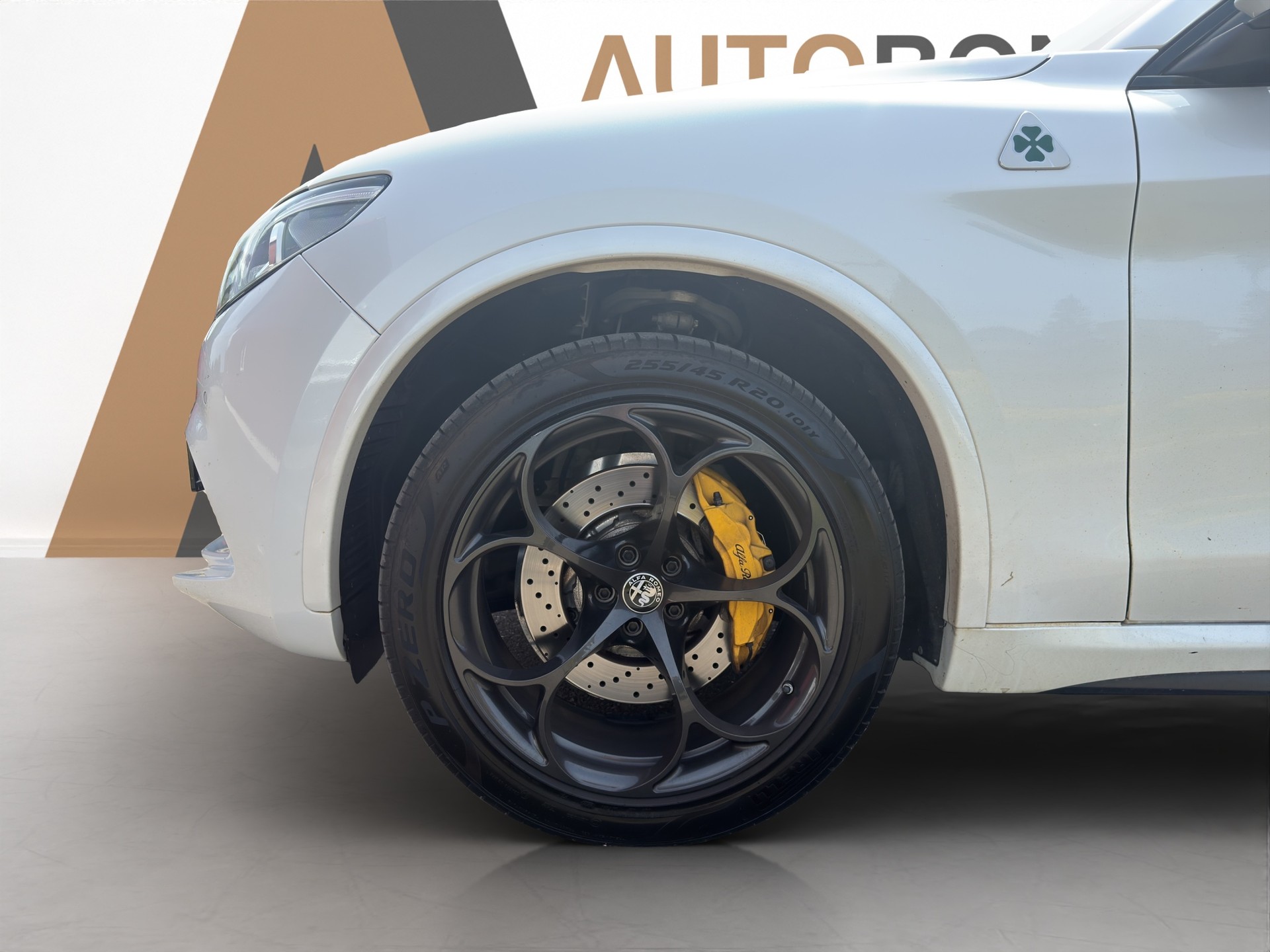 ALFA ROMEO Stelvio 2.9 V6 Biturbo Q4 Quadrifoglio Schiebedach-image-23