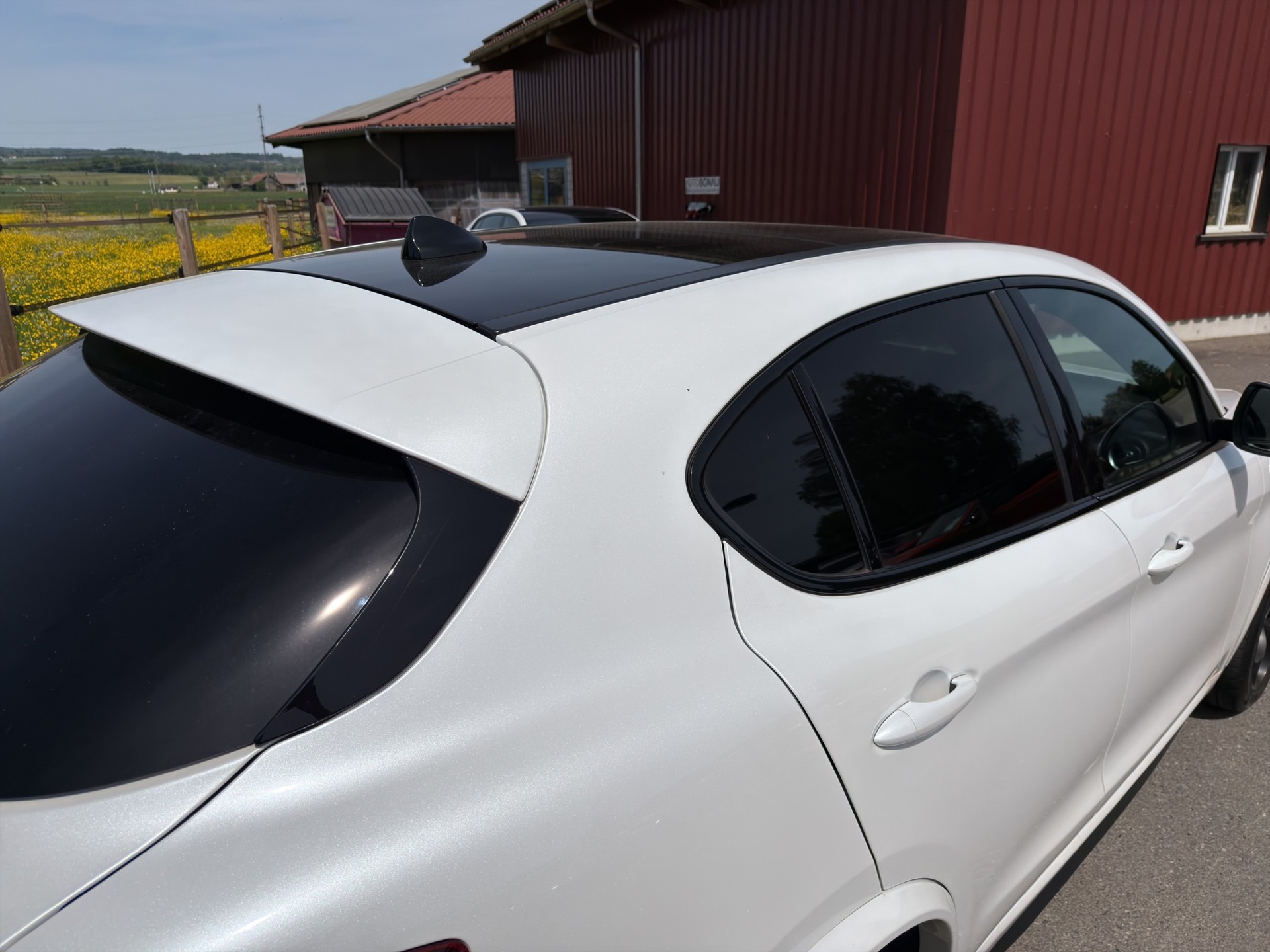ALFA ROMEO Stelvio 2.9 V6 Biturbo Q4 Quadrifoglio Schiebedach-image-30
