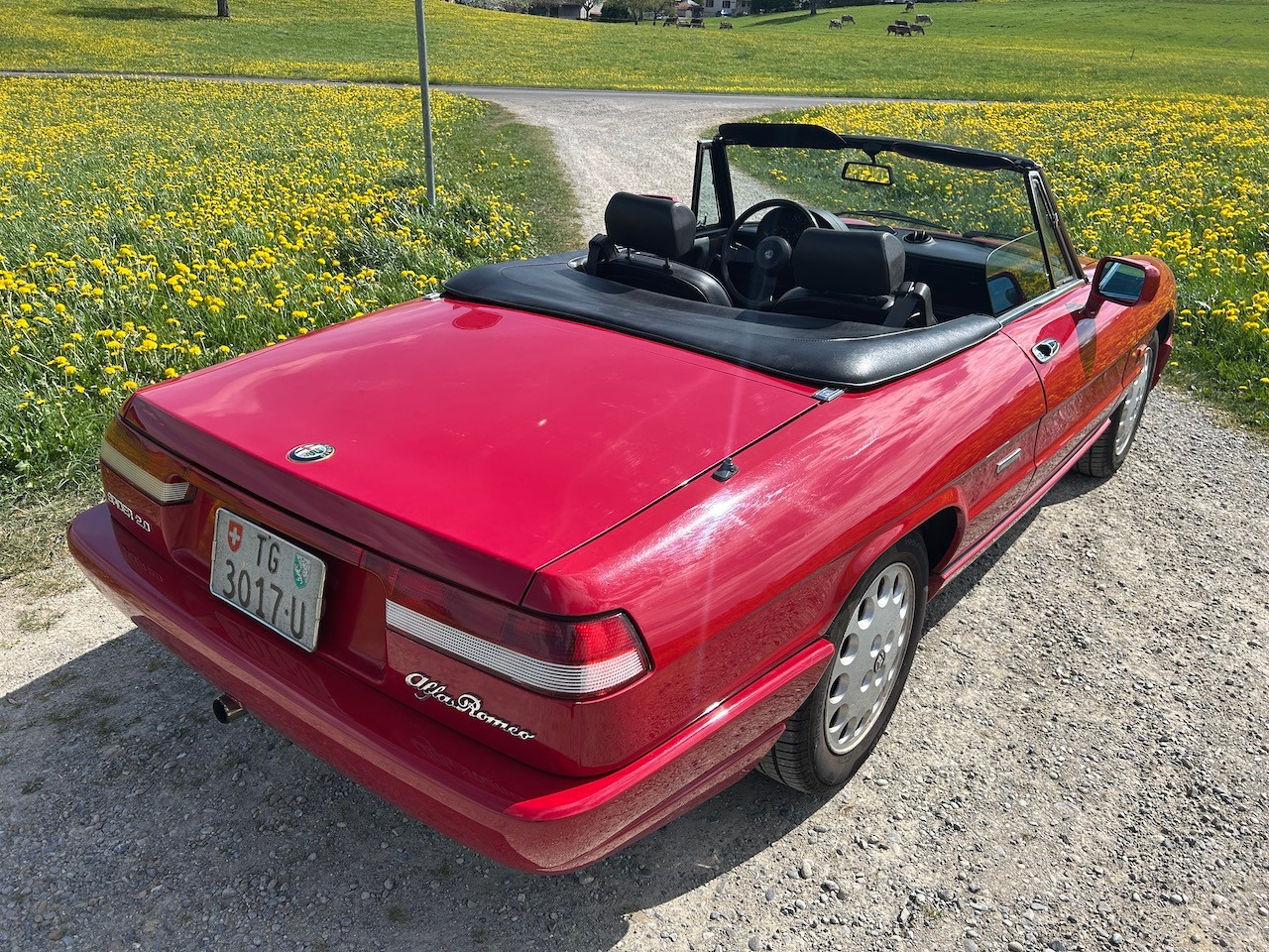 ALFA ROMEO Spider 2.0-image-12