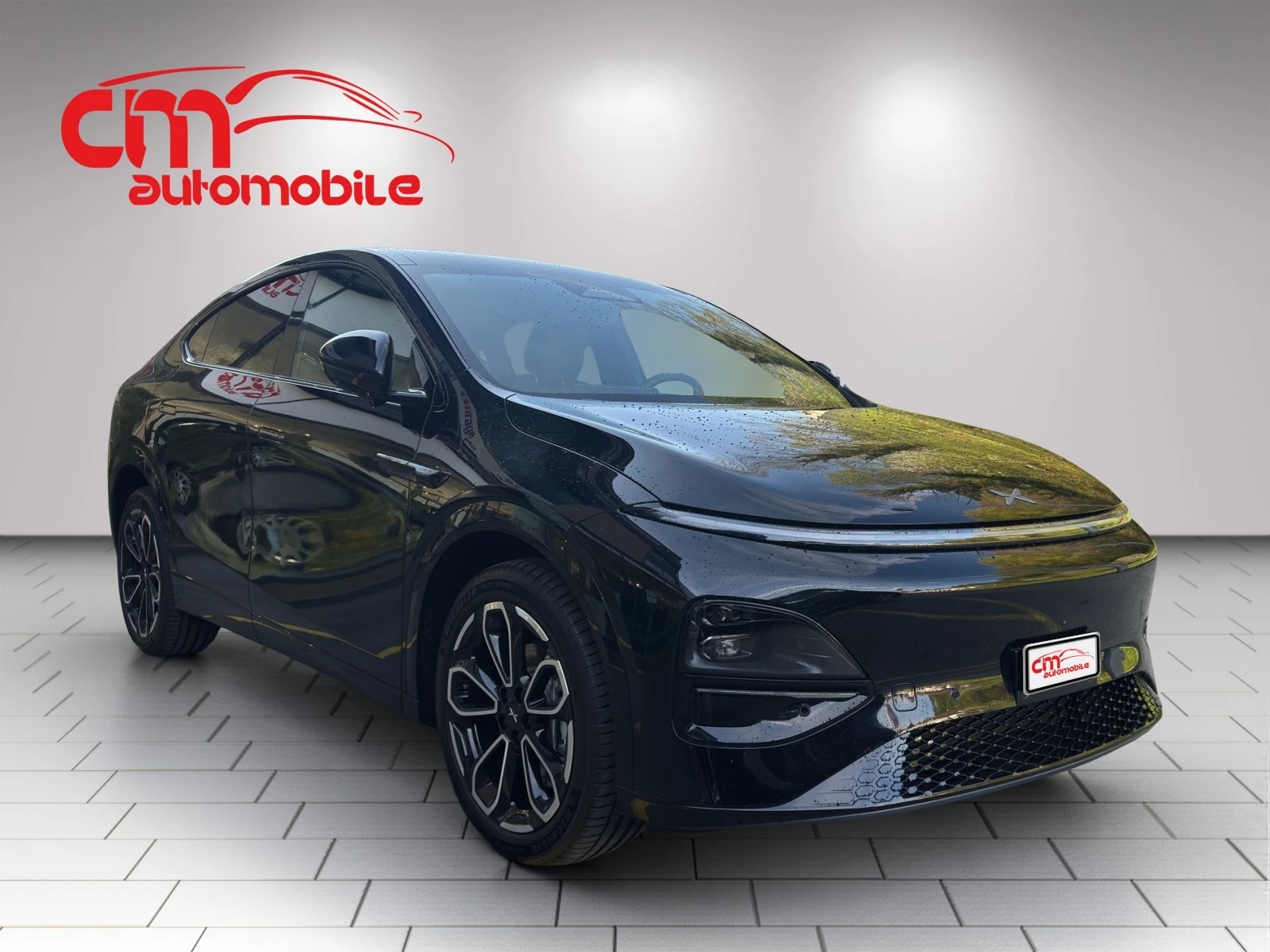 XPENG 80kWh Performance AWD-showroom-element-3