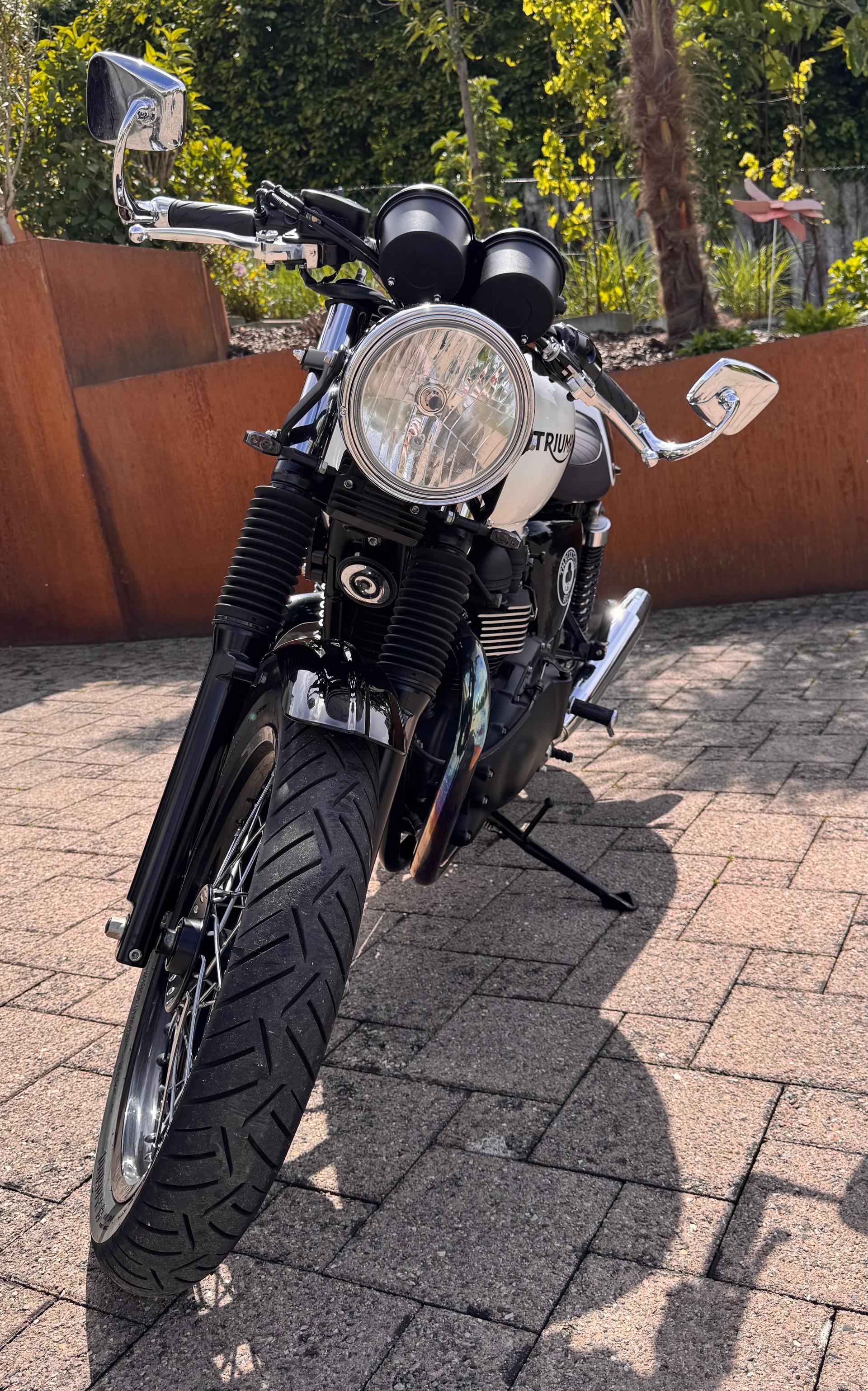 TRIUMPH Triumph Thruxton 900 Ace Special Edition | 7’000 km | REMUS | Top Zustand-image-2