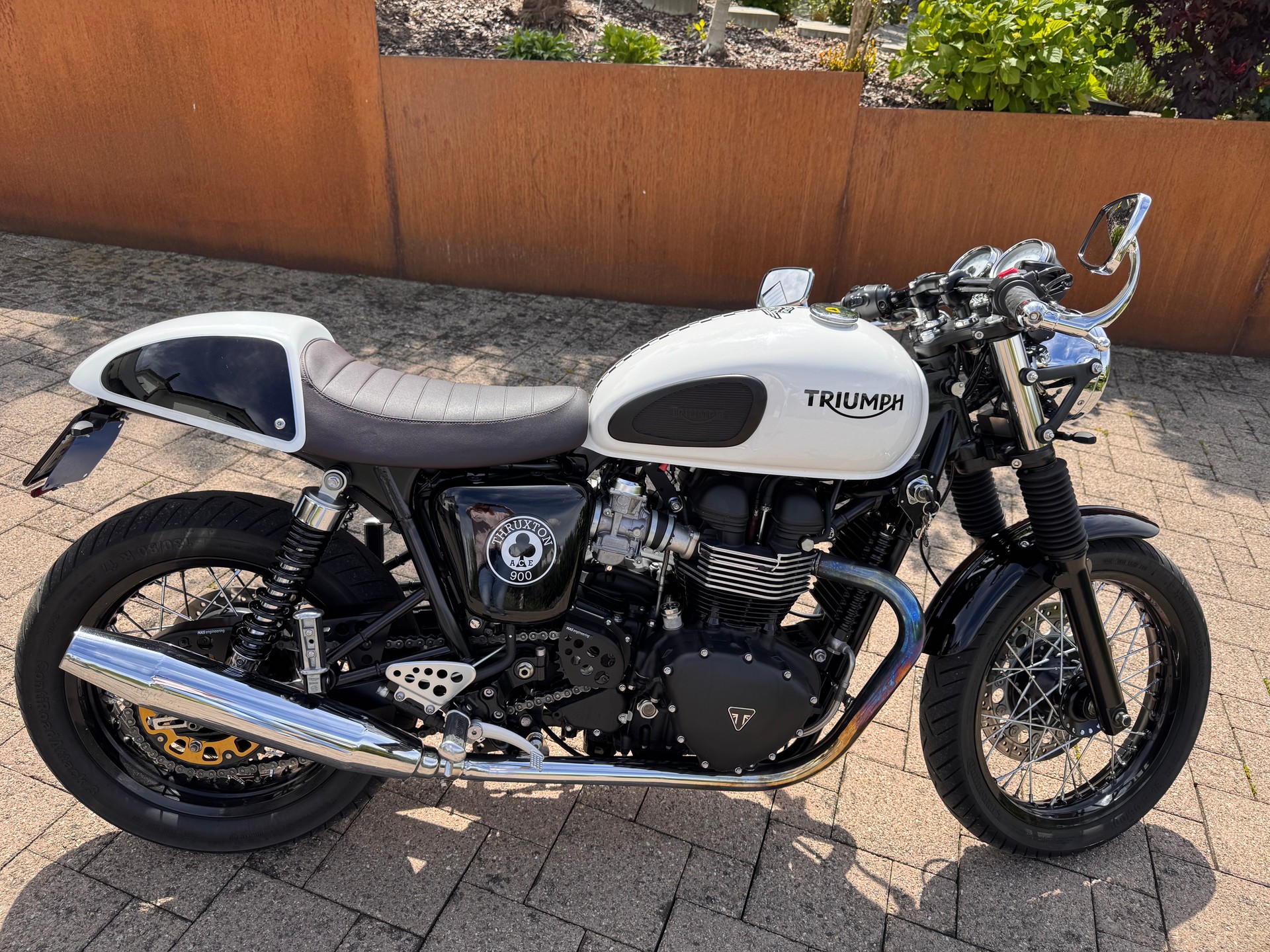 TRIUMPH Triumph Thruxton 900 Ace Special Edition | 7’000 km | REMUS | Top Zustand-image-1