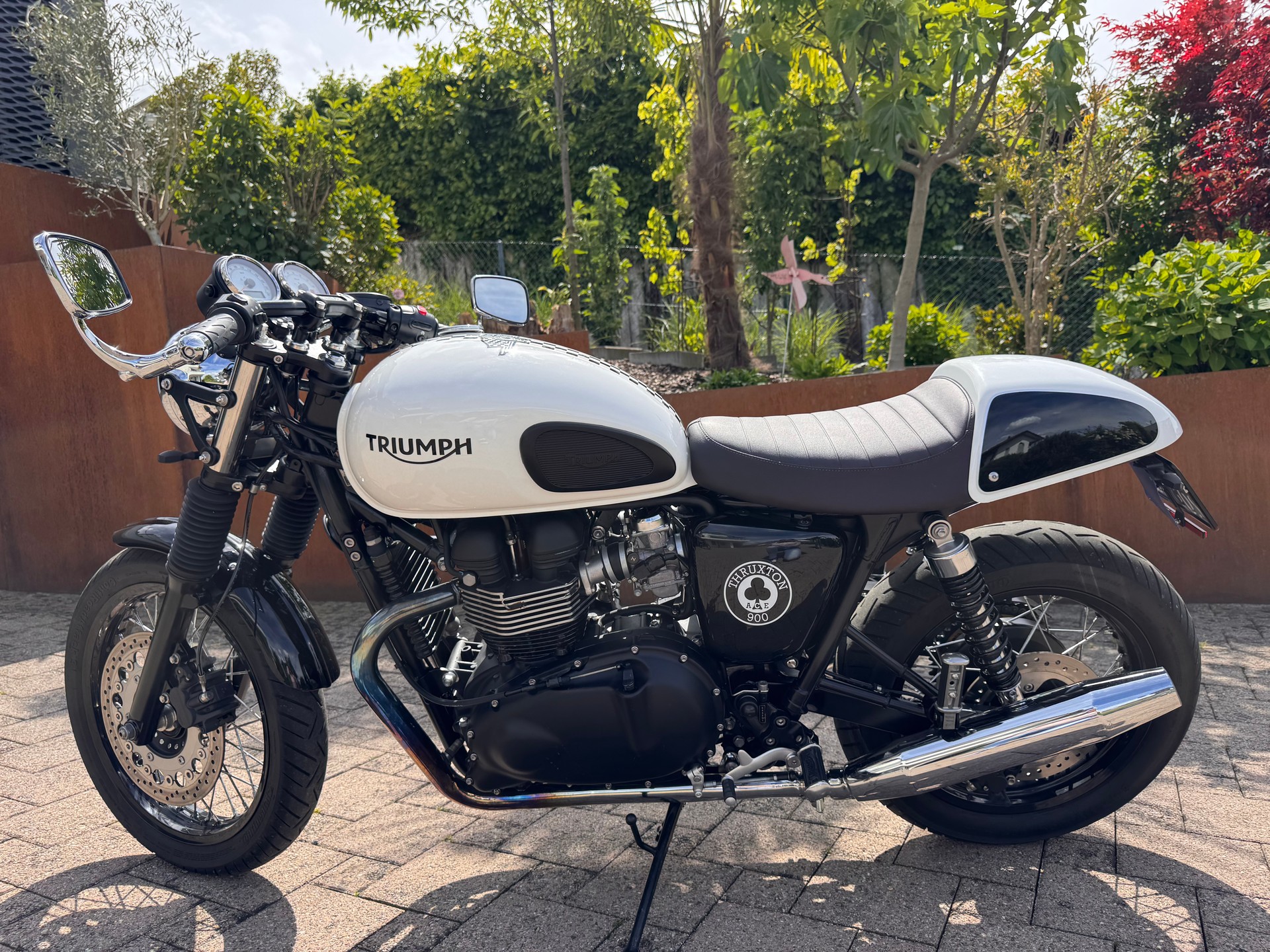 TRIUMPH Triumph Thruxton 900 Ace Special Edition | 7’000 km | REMUS | Top Zustand-image-0