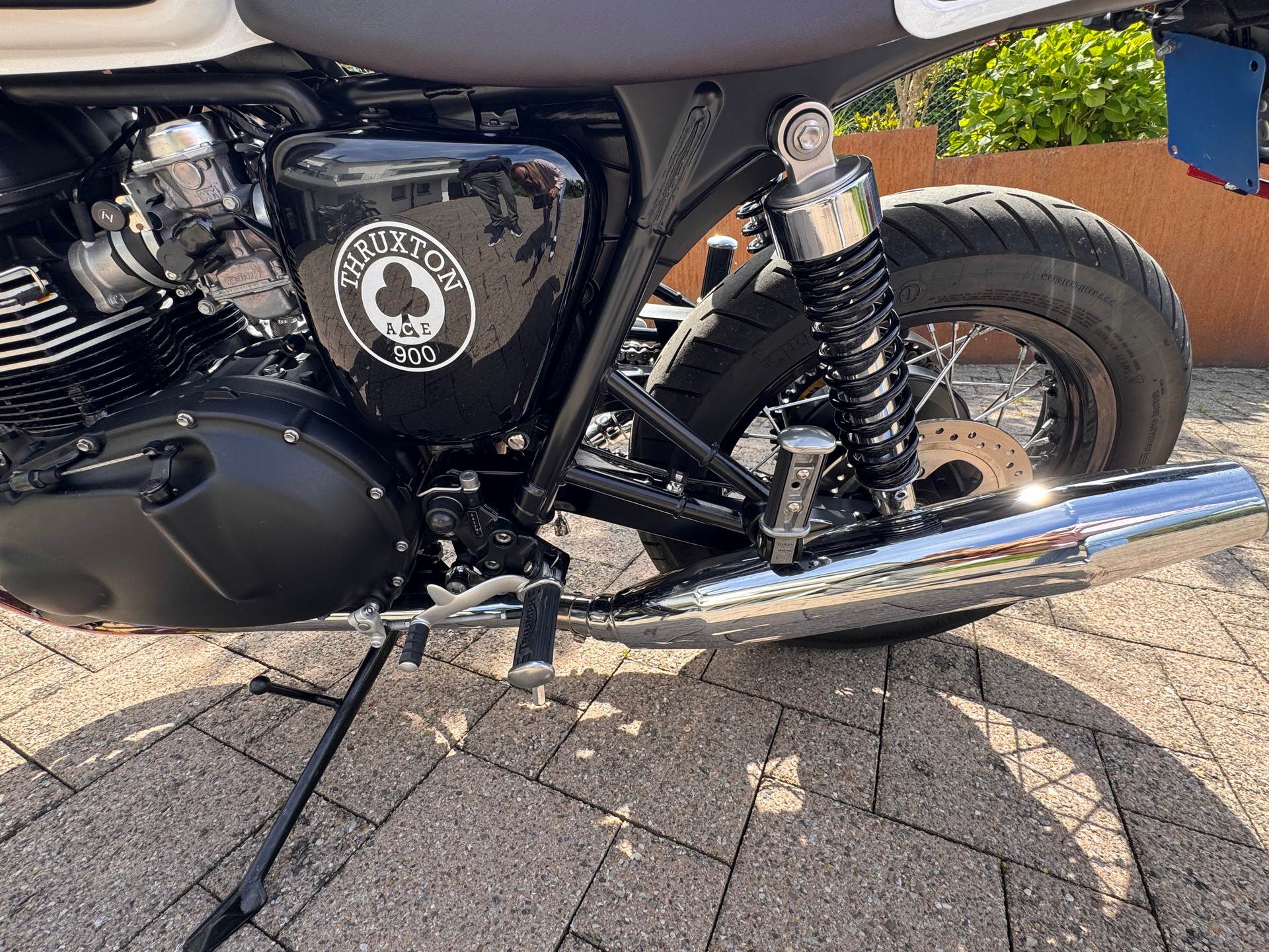 TRIUMPH Triumph Thruxton 900 Ace Special Edition | 7’000 km | REMUS | Top Zustand-image-5