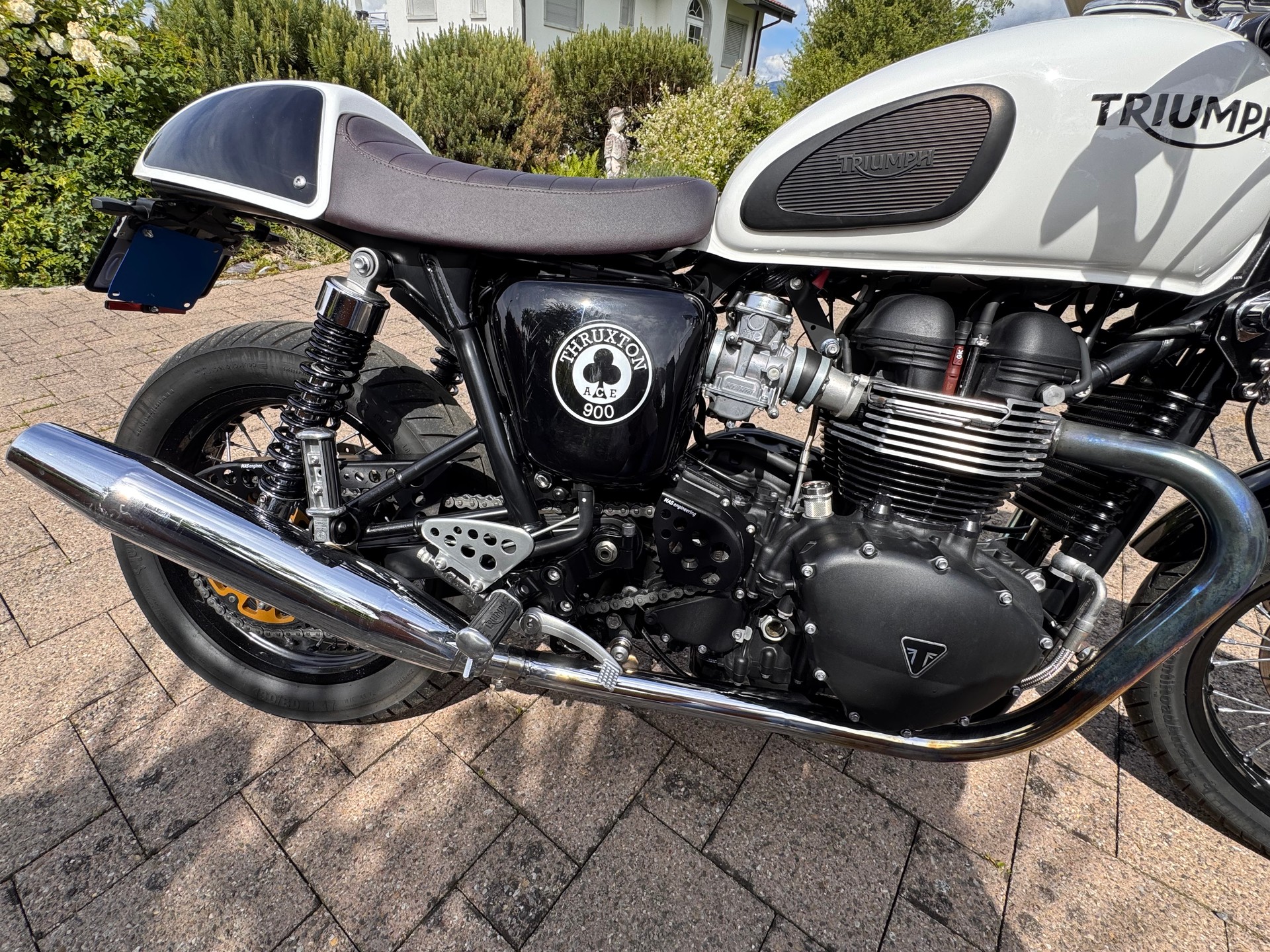 TRIUMPH Triumph Thruxton 900 Ace Special Edition | 7’000 km | REMUS | Top Zustand-image-6
