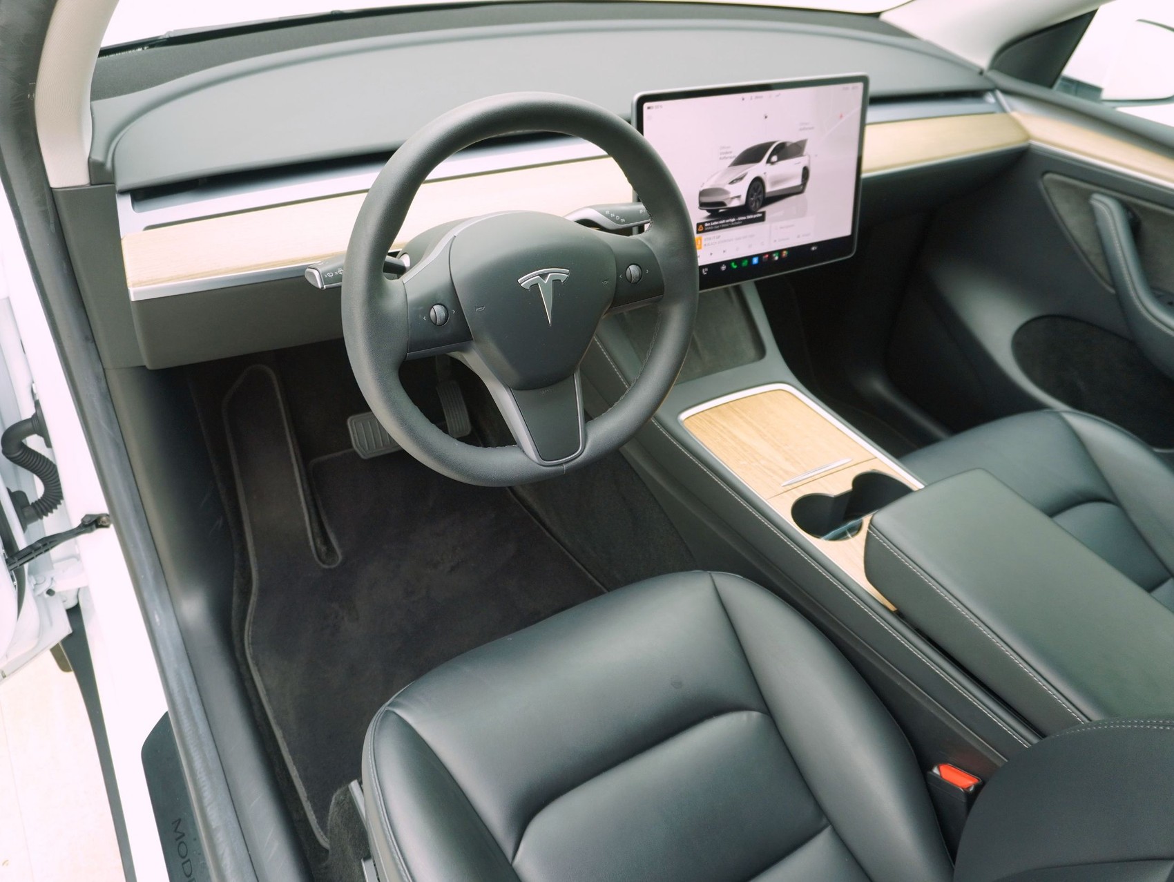 TESLA Model Y Long Range Dual AWD-image-10