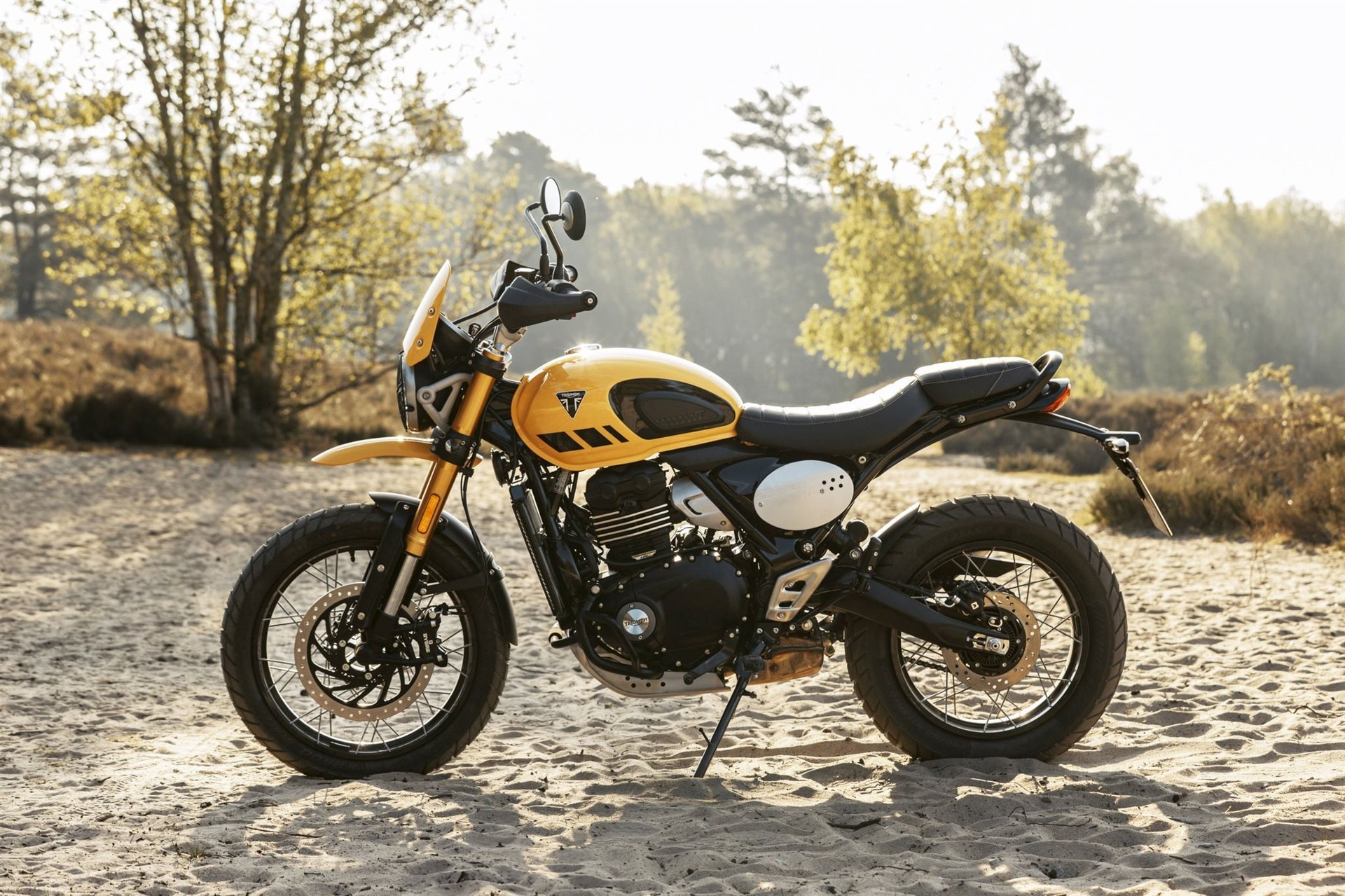 TRIUMPH Scrambler 400 XC-image-4