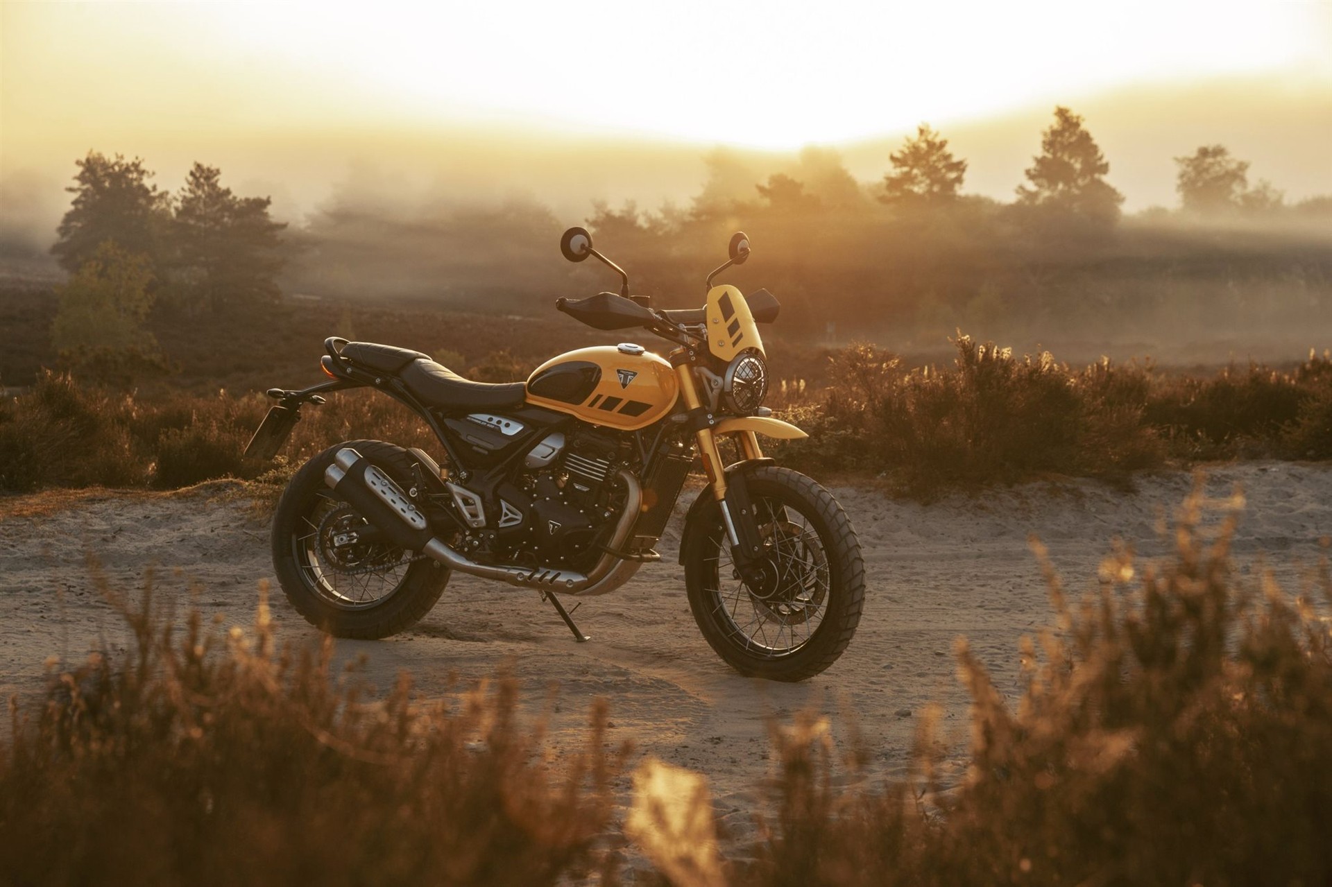 TRIUMPH Scrambler 400 XC-image-2
