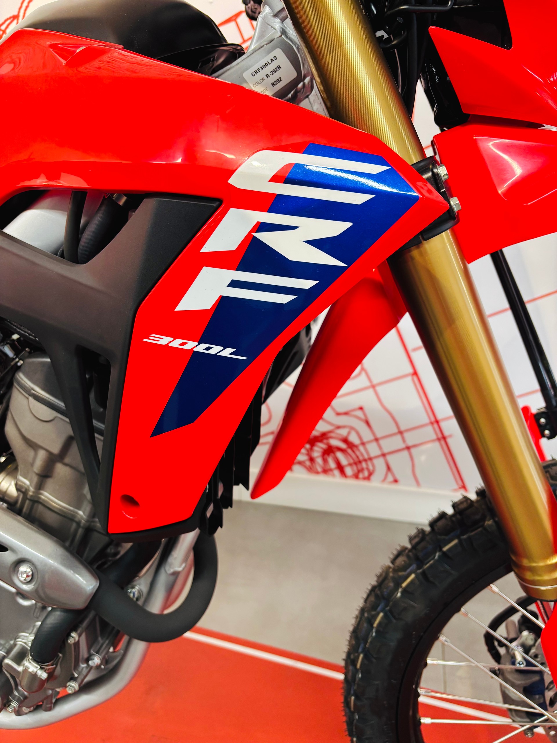 HONDA CRF 300 L-image-6