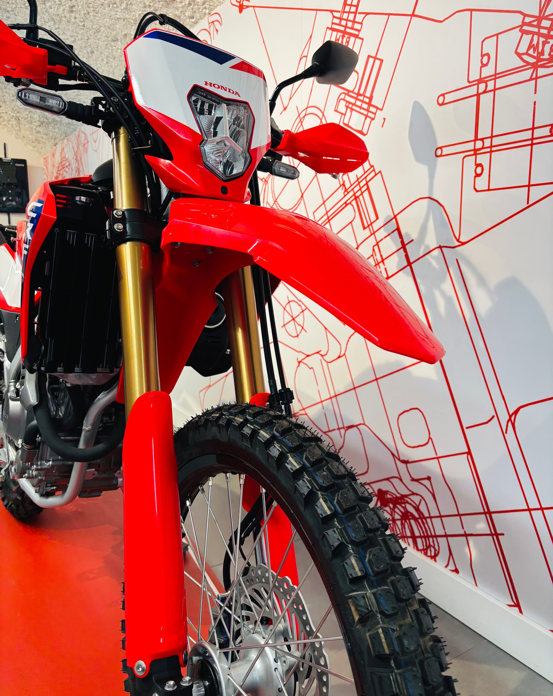 HONDA CRF 300 L-image-10