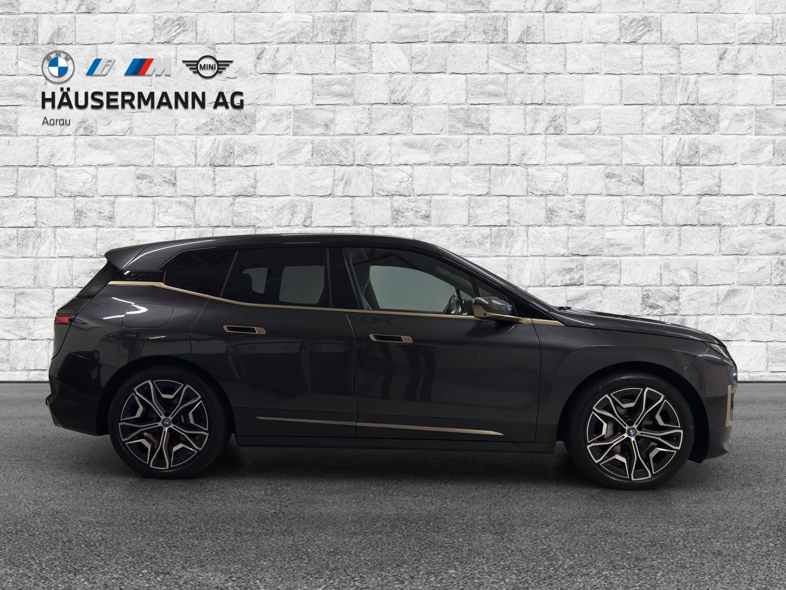 BMW iX xDrive40 Launch Ed.-showroom-element-3