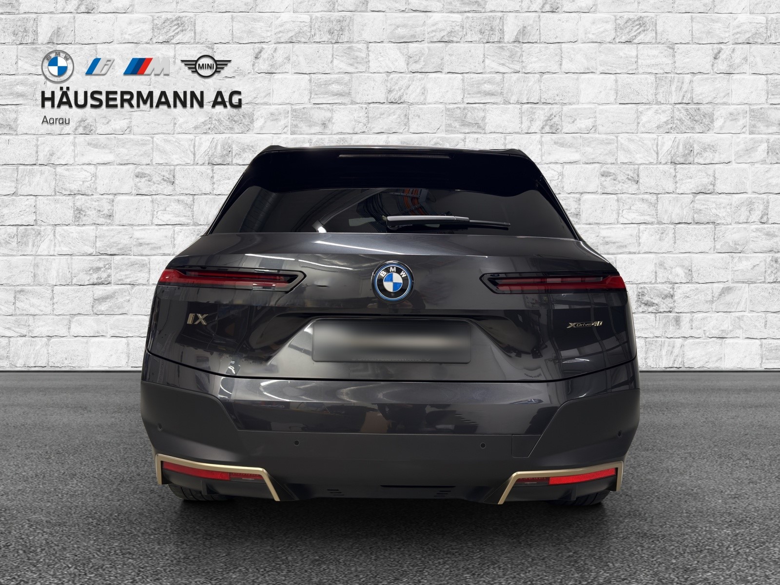 BMW iX xDrive40 Launch Ed.-image-5