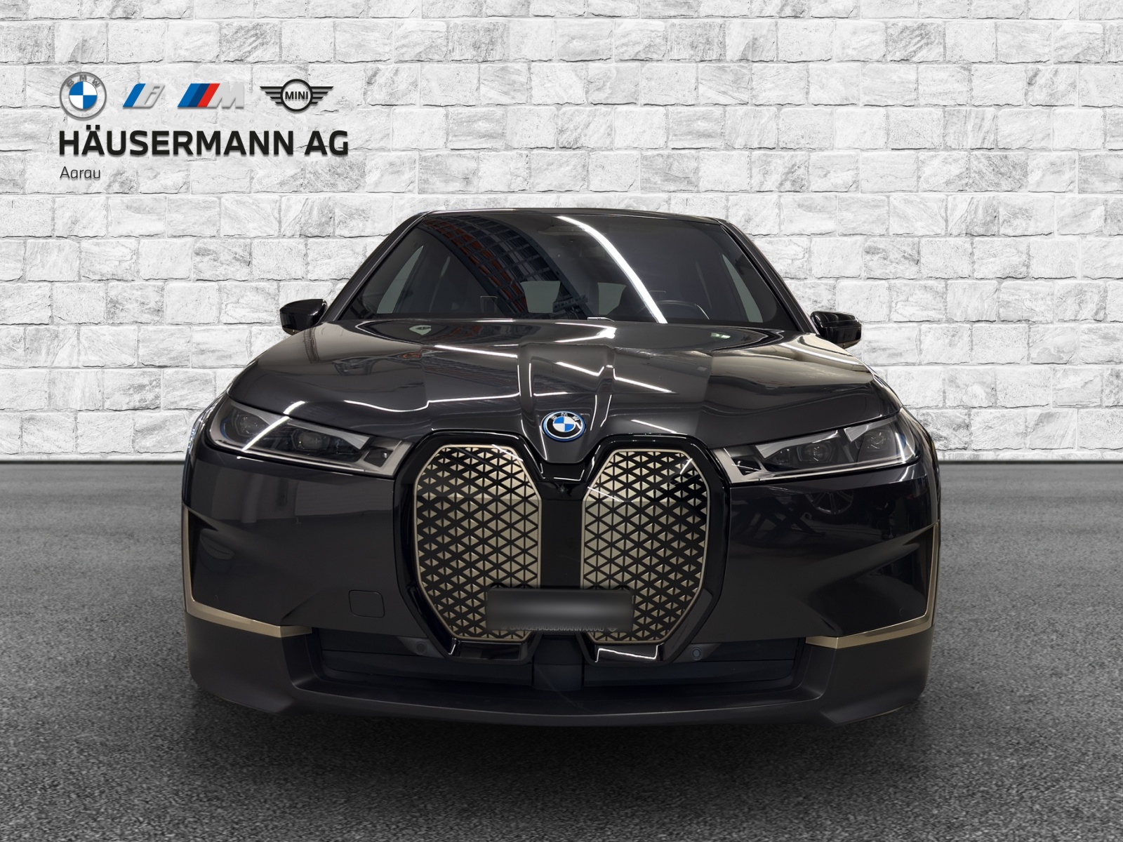 BMW iX xDrive40 Launch Ed.-showroom-element-1