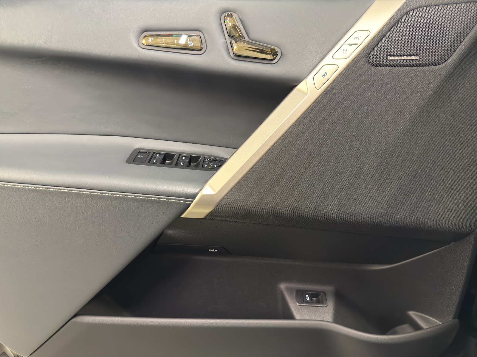 BMW iX xDrive40 Launch Ed.-image-14
