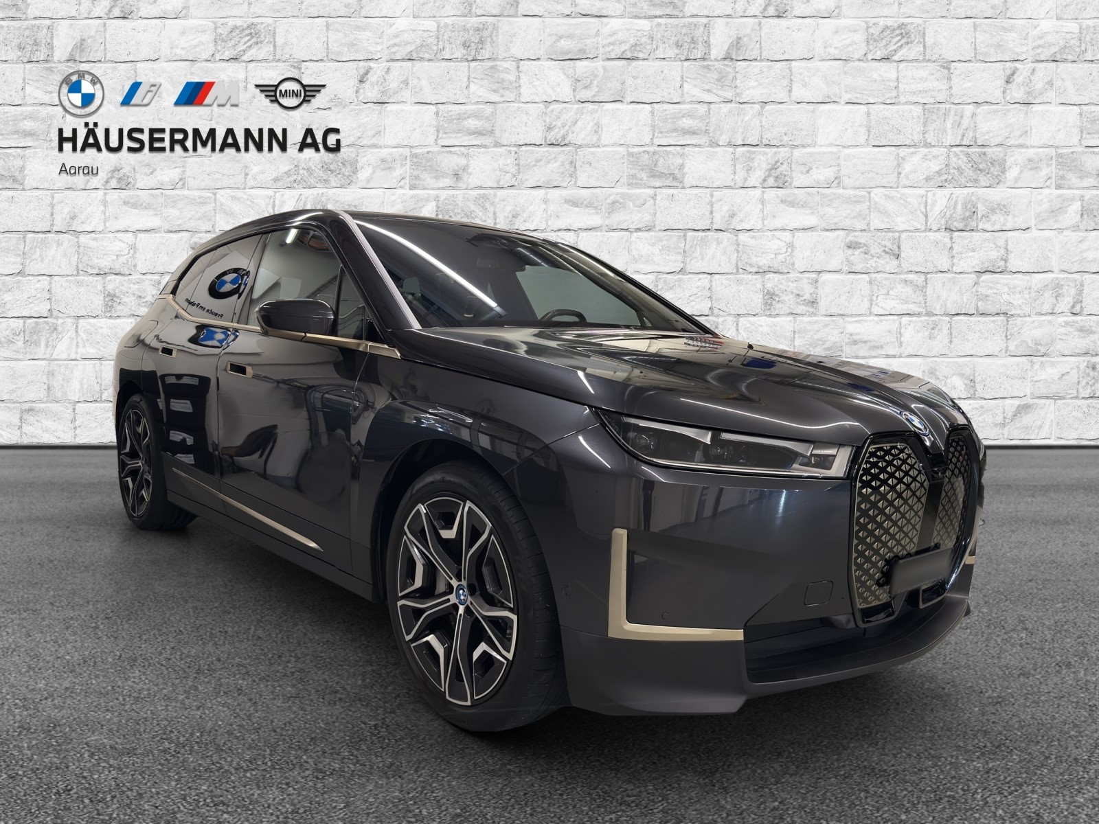 BMW iX xDrive40 Launch Ed.-showroom-element-2