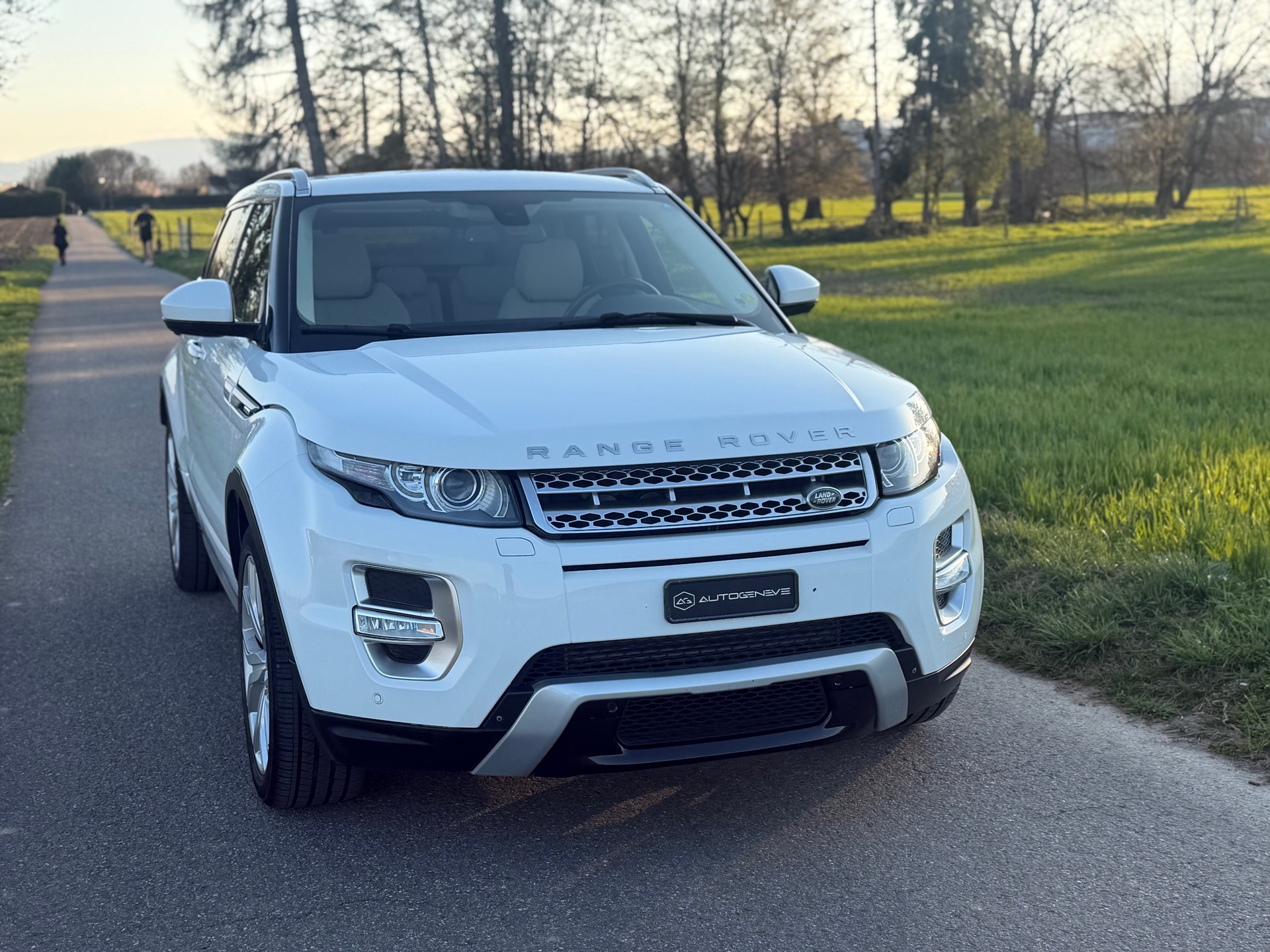 LAND ROVER Range Rover Evoque 2.2 SD4 Autobiography AT9-image-9