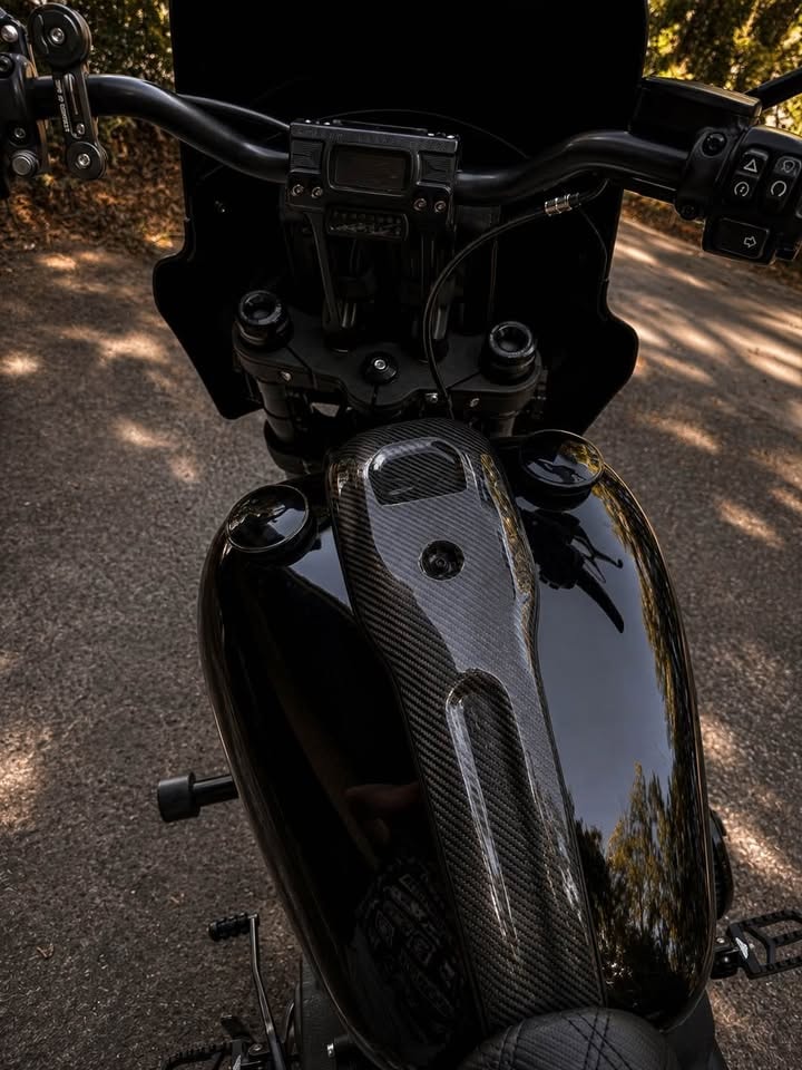 HARLEY-DAVIDSON FXLRS Low Rider S 114-image-7