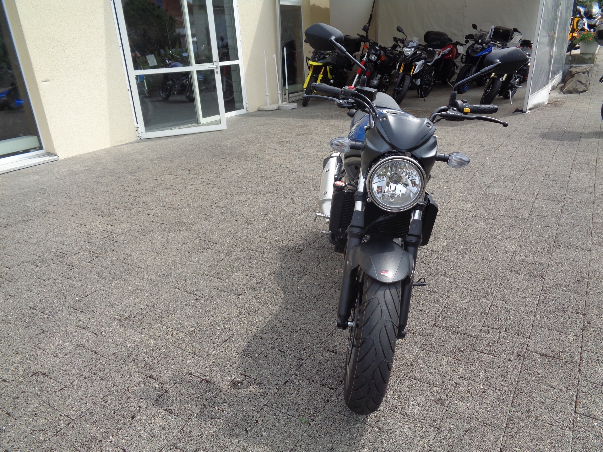 SUZUKI SV 650-image-1