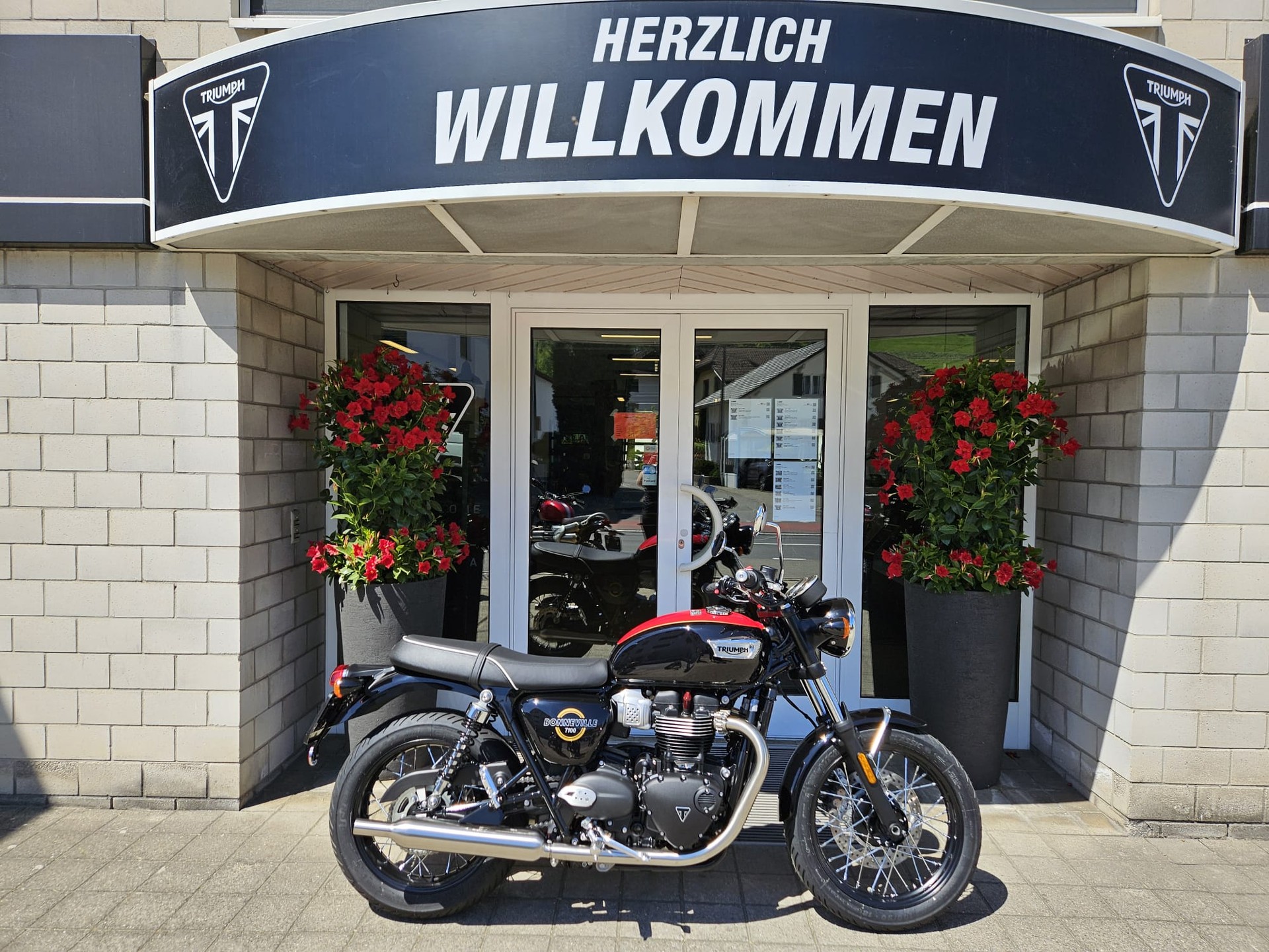 TRIUMPH Bonneville 900 T 100