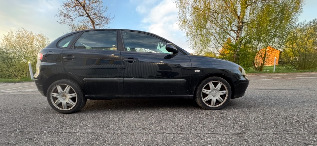 SEAT Ibiza 2.0 Sport-image-3