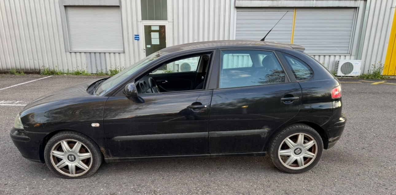 SEAT Ibiza 2.0 Sport-image-4