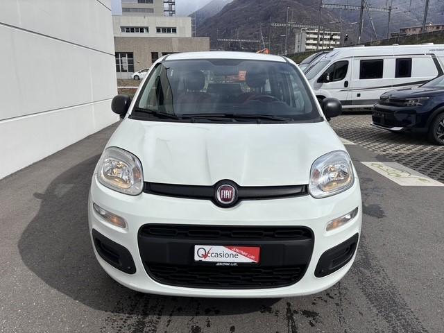 FIAT Panda 1.2 69 Easy con FORNO PIZZA-image-1