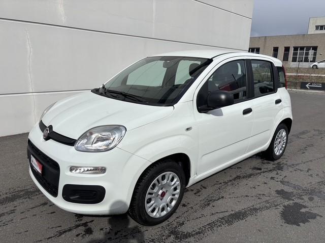 FIAT Panda 1.2 69 Easy con FORNO PIZZA-image-3