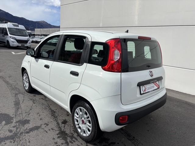 FIAT Panda 1.2 69 Easy con FORNO PIZZA-image-4