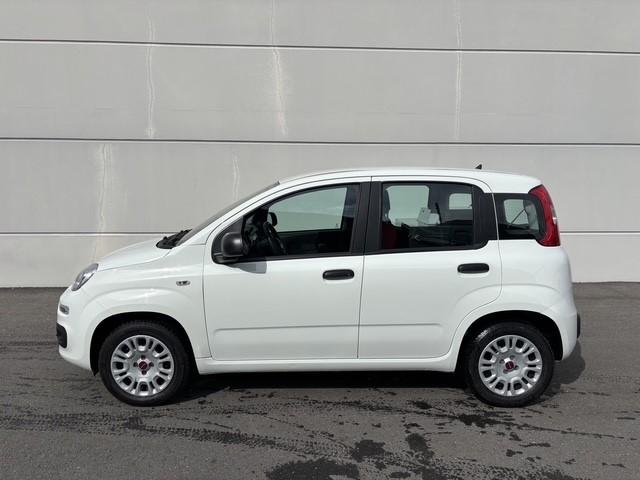 FIAT Panda 1.2 69 Easy con FORNO PIZZA-image-2