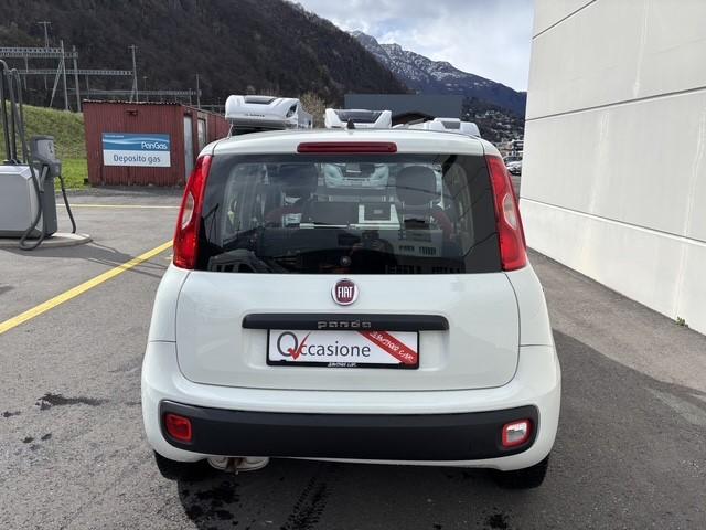 FIAT Panda 1.2 69 Easy con FORNO PIZZA-image-5