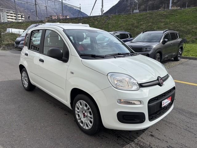 FIAT Panda 1.2 69 Easy con FORNO PIZZA