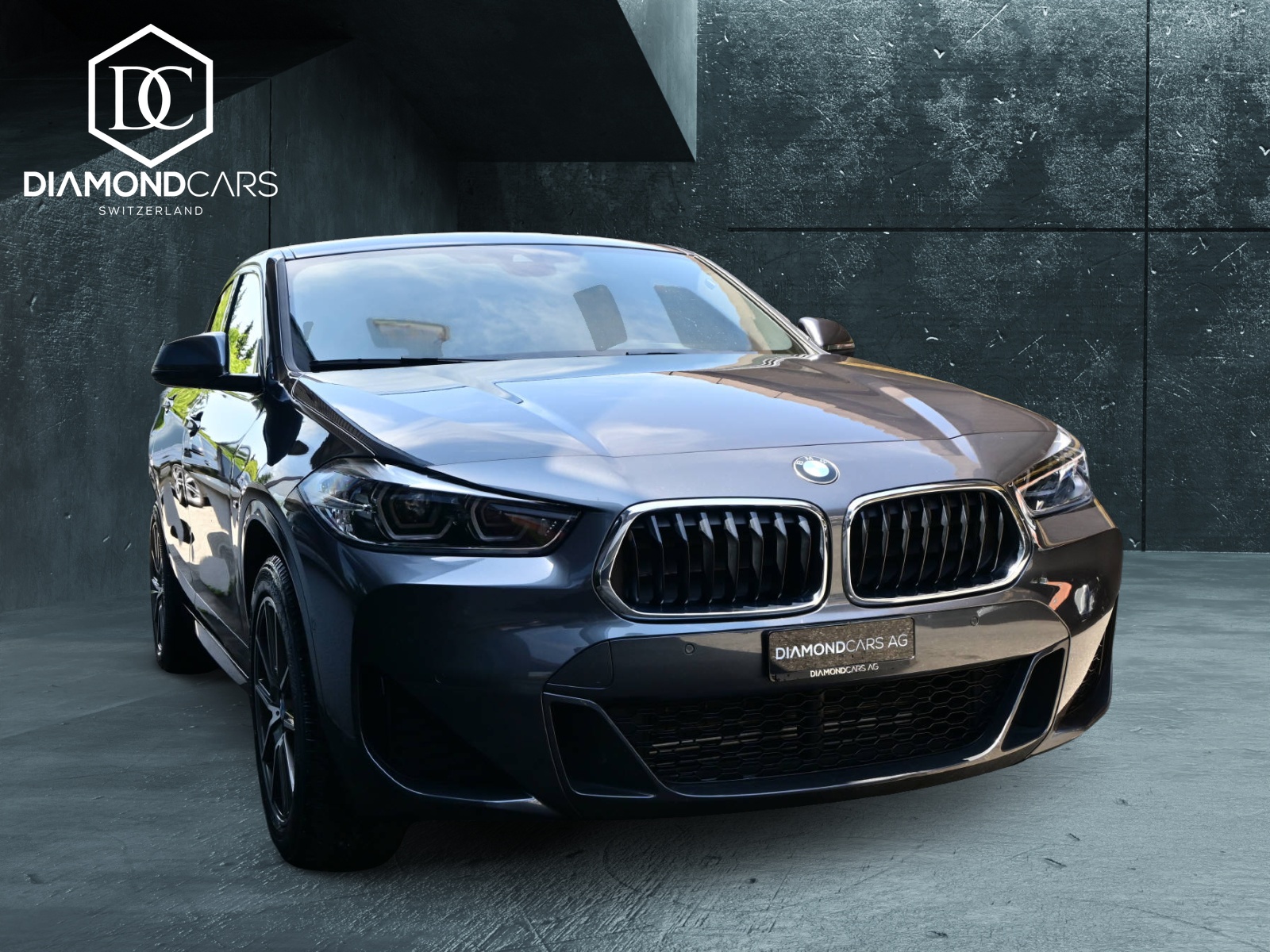 BMW X2 25e xDrive M-Sport-showroom-element-2