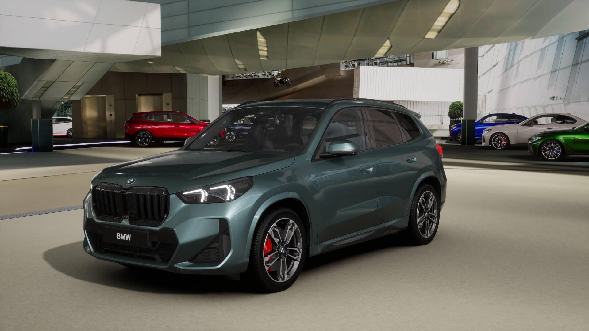 BMW X1 23i xDrive paddles