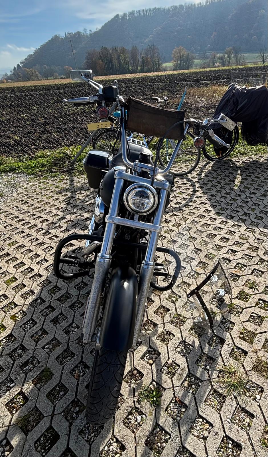 HARLEY-DAVIDSON FXDBI Dyna Street Bob-image-2