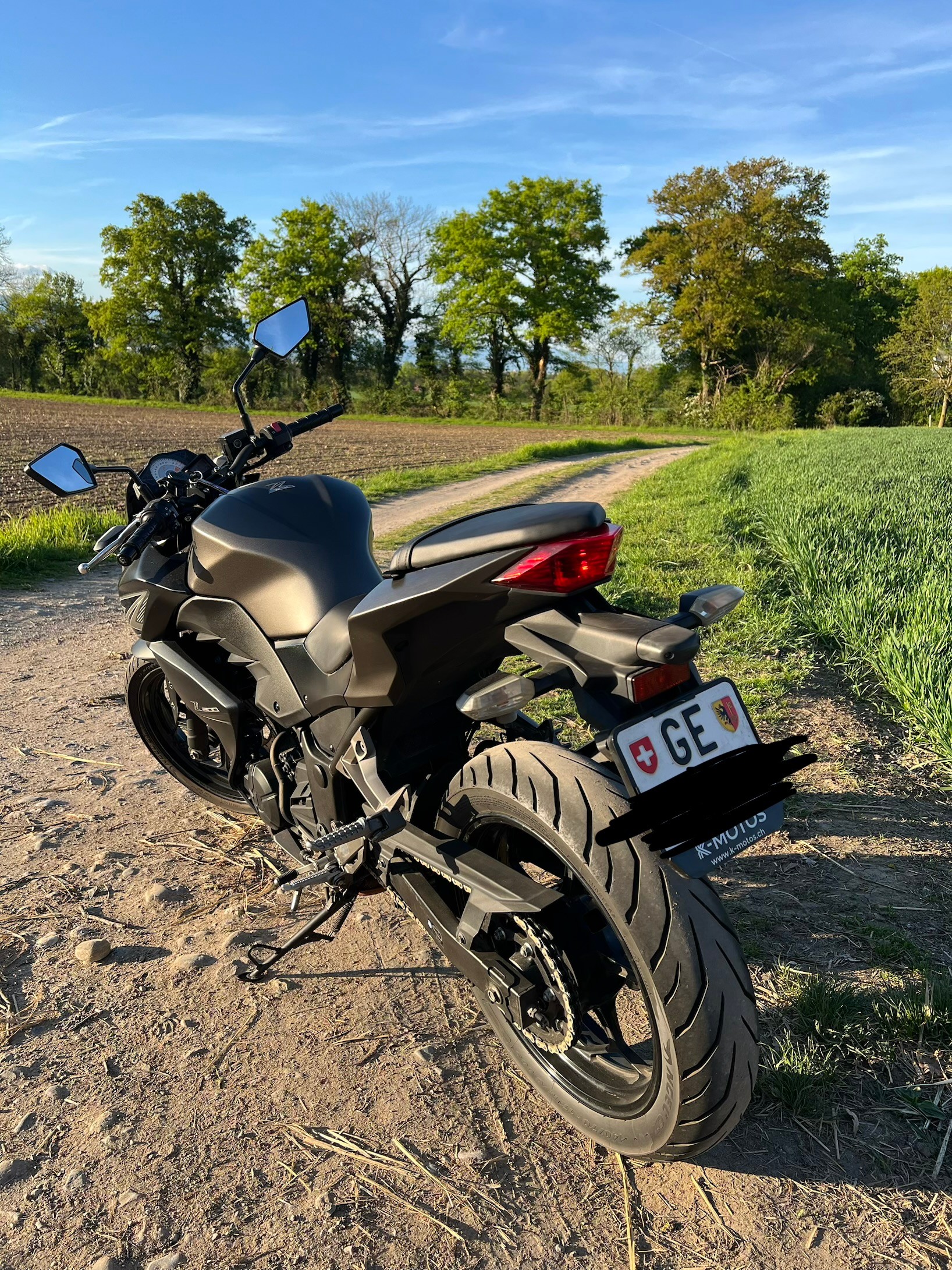 KAWASAKI Z 300 ABS-image-2