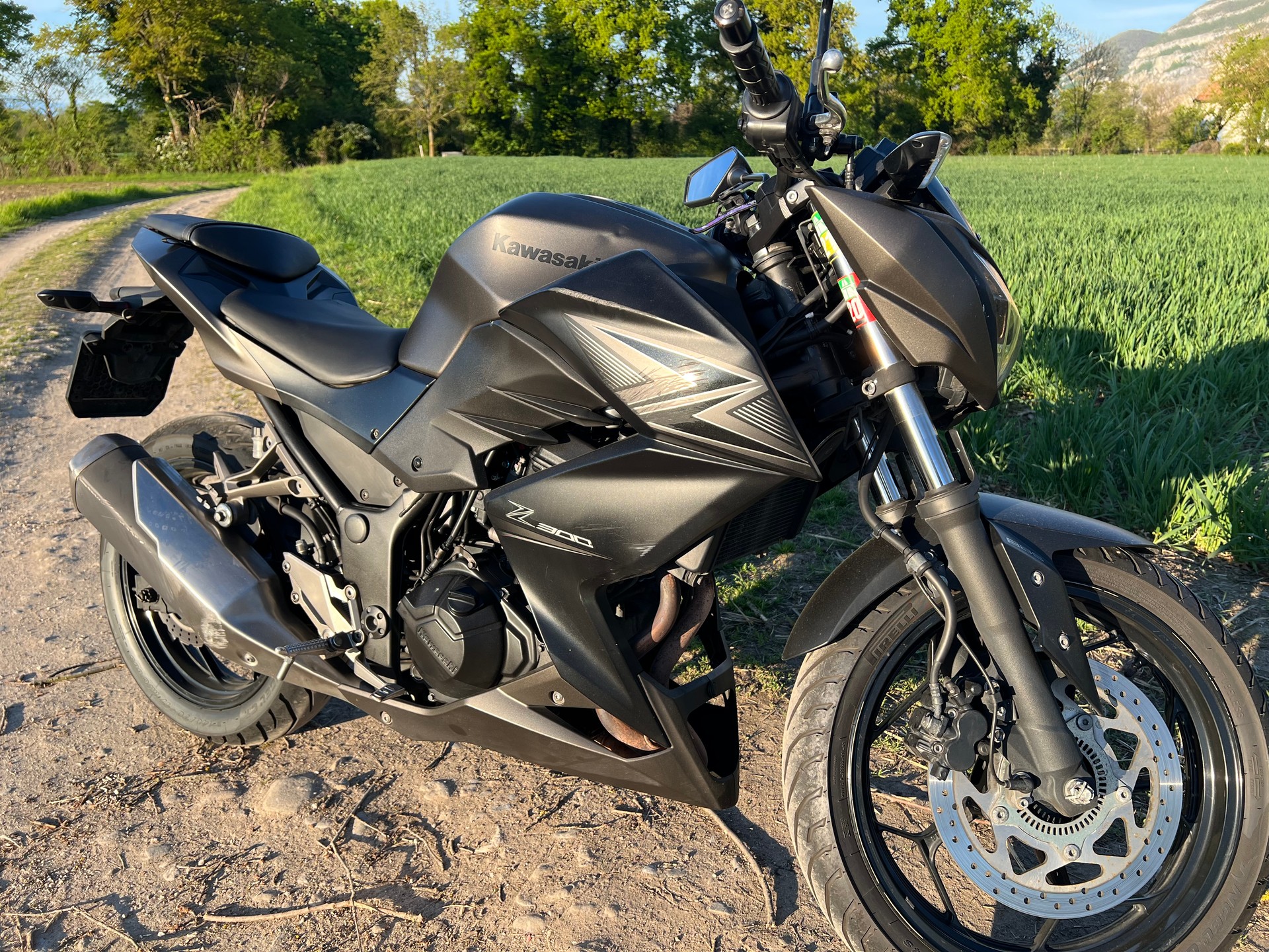 KAWASAKI Z 300 ABS-image-4