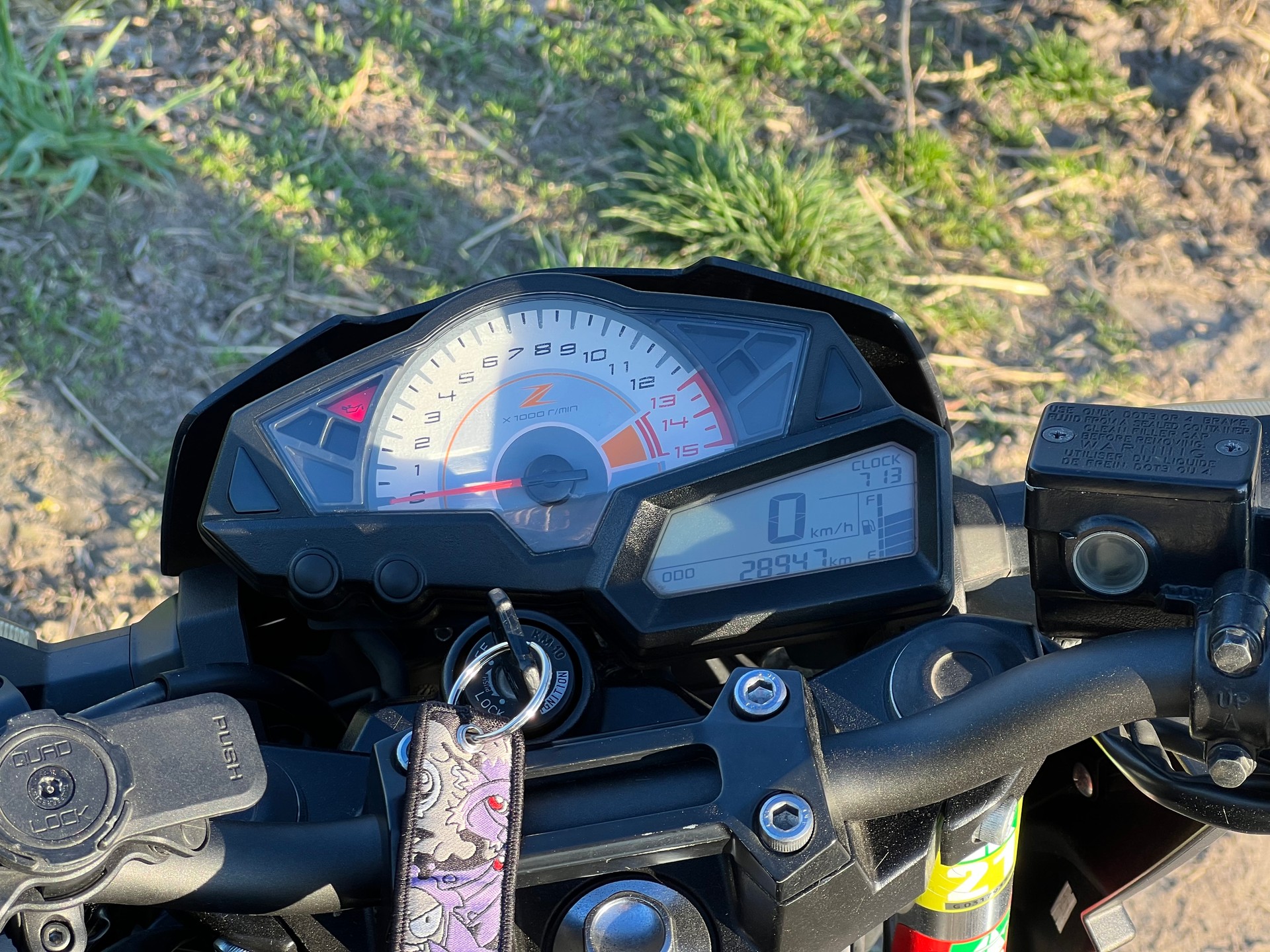 KAWASAKI Z 300 ABS-image-7