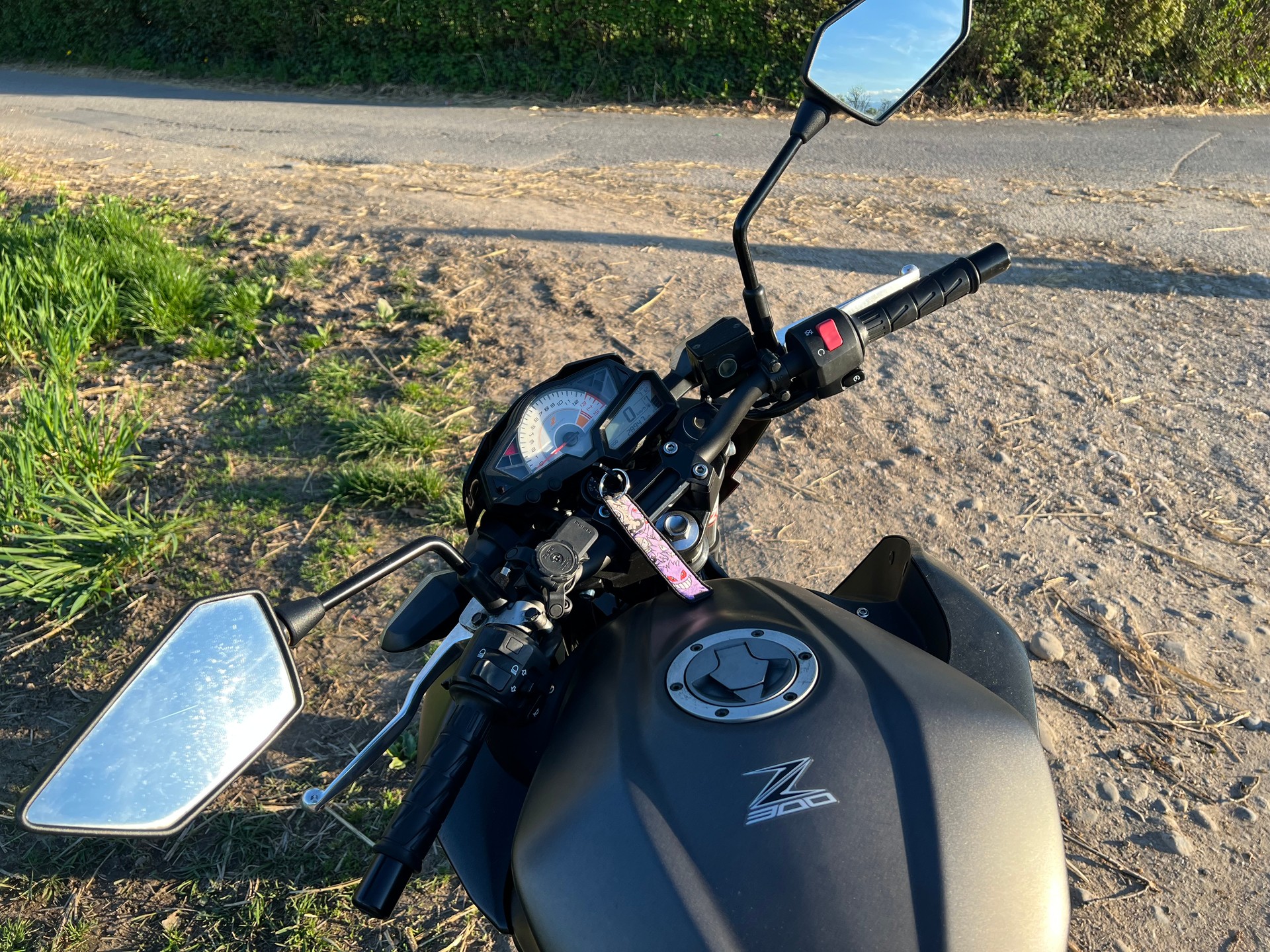 KAWASAKI Z 300 ABS-image-6