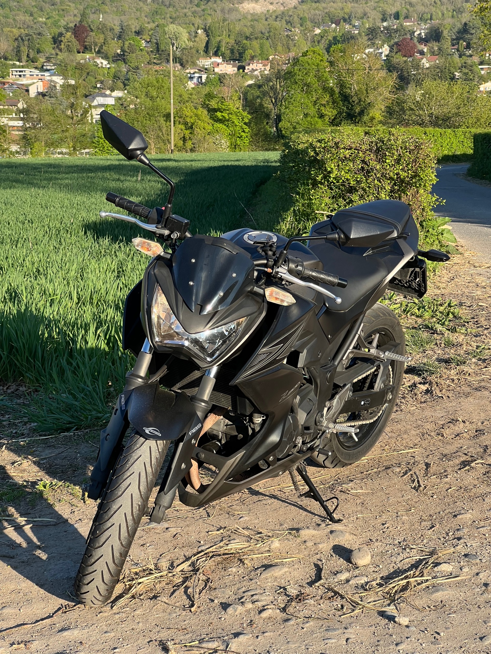 KAWASAKI Z 300 ABS-image-1