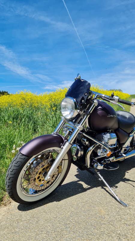 MOTO GUZZI California 1100 EV-image-4
