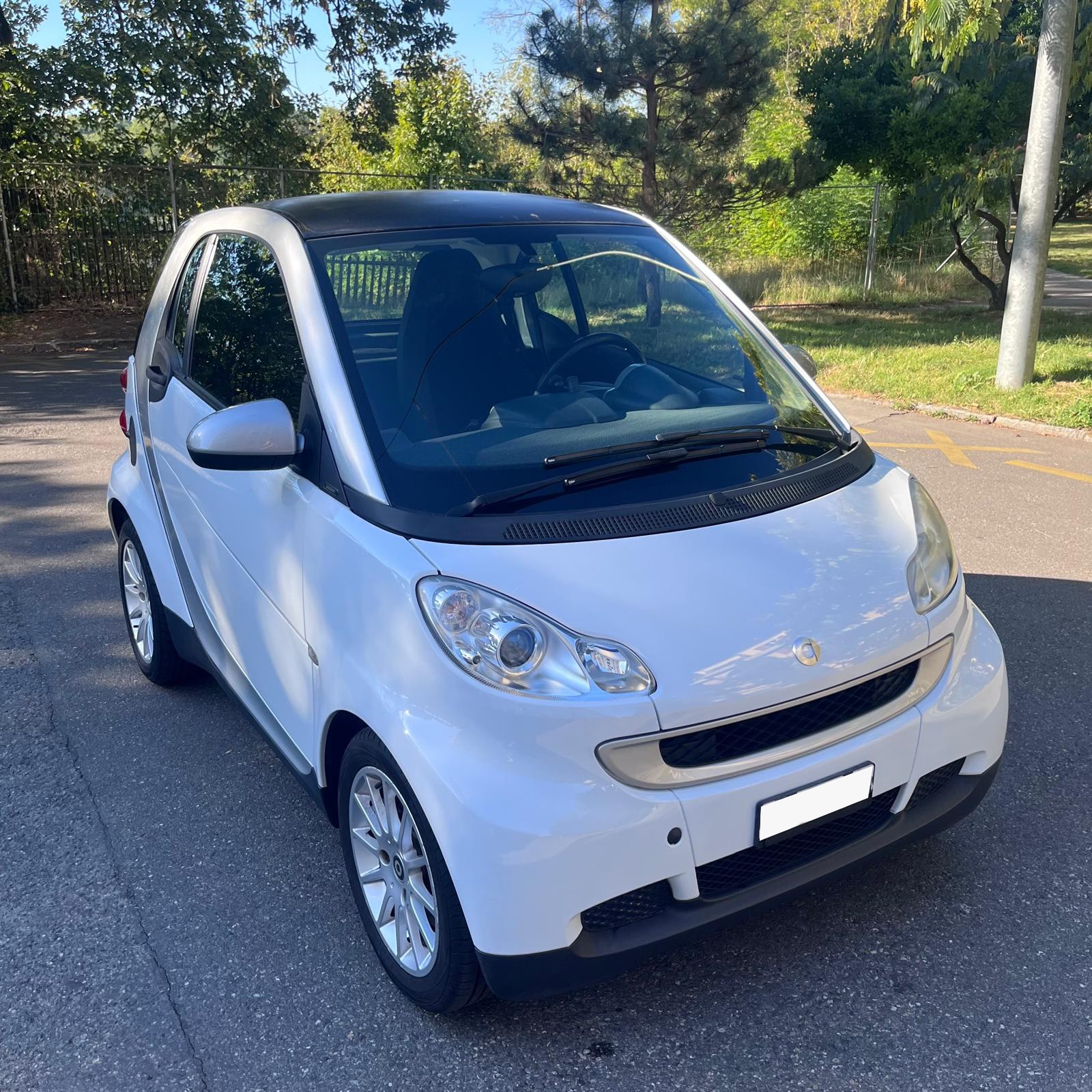 SMART 1000 84 Passion