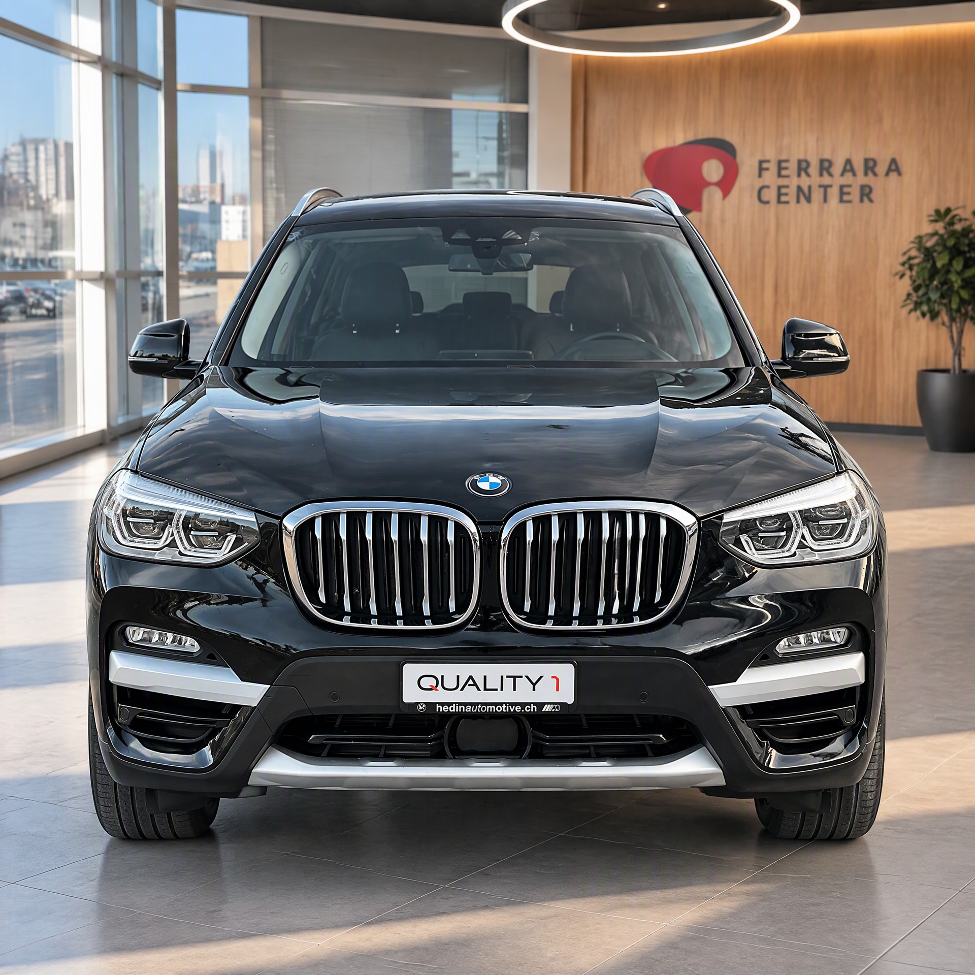 BMW X3 xDrive 20d Individual xLine Steptronic-image-6